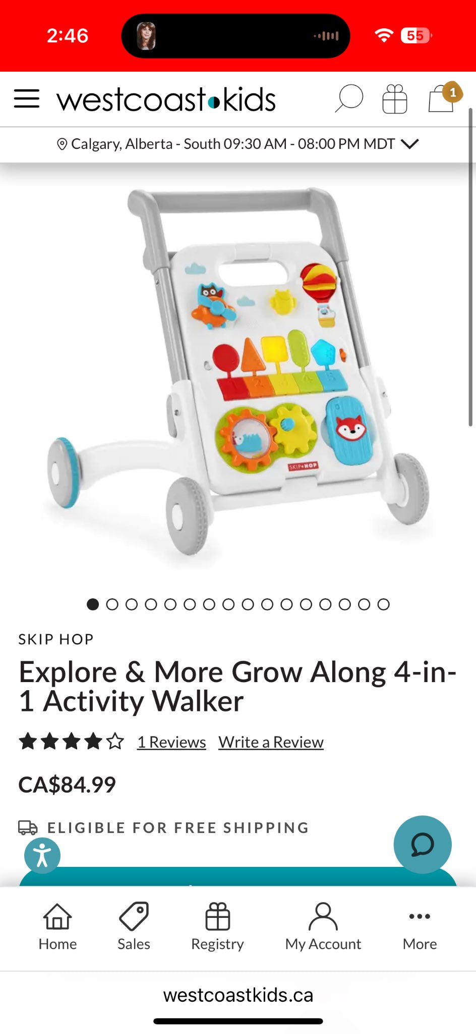 Skip Hop Activity Walker