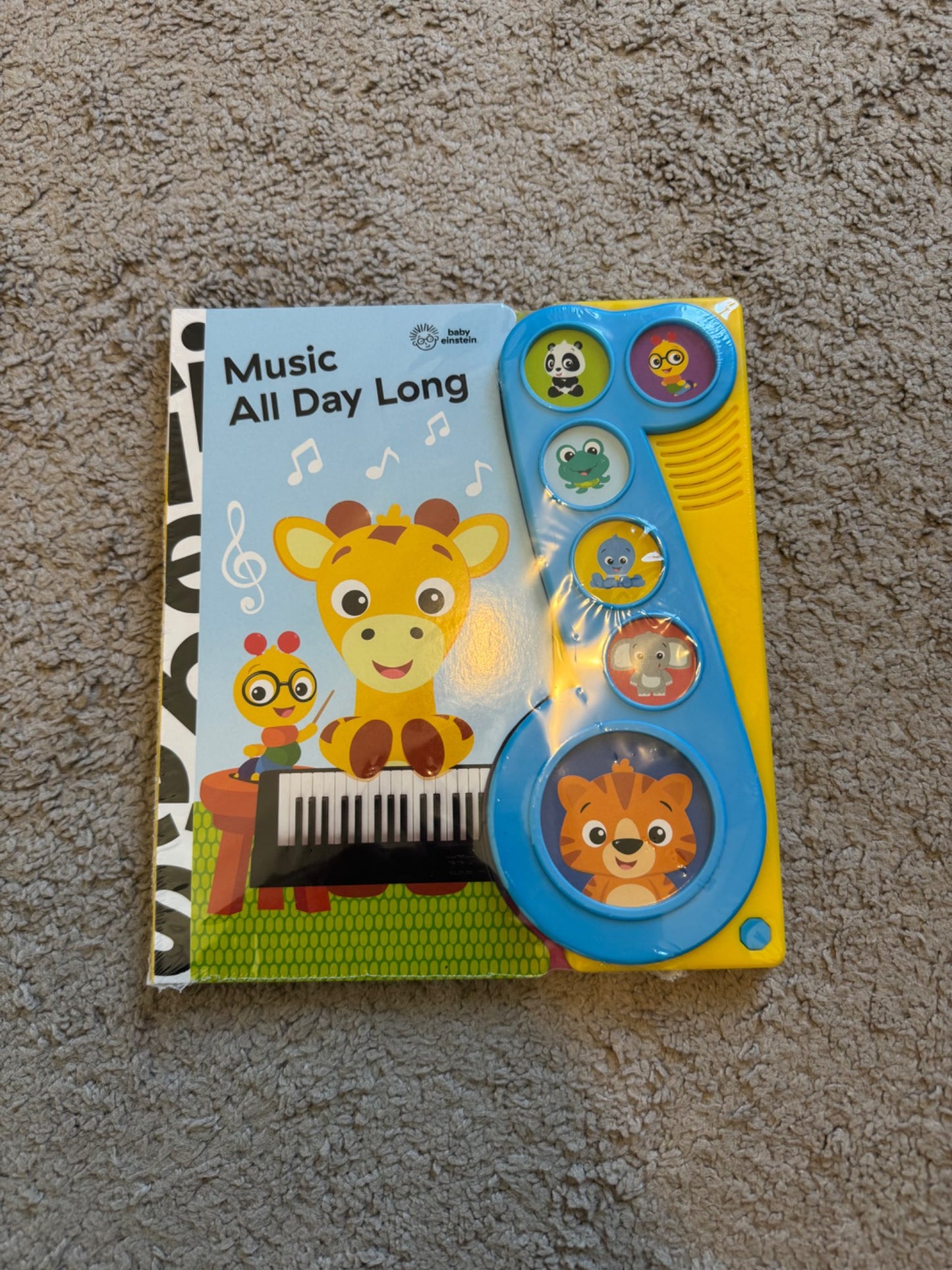 Baby Einstein Music Book