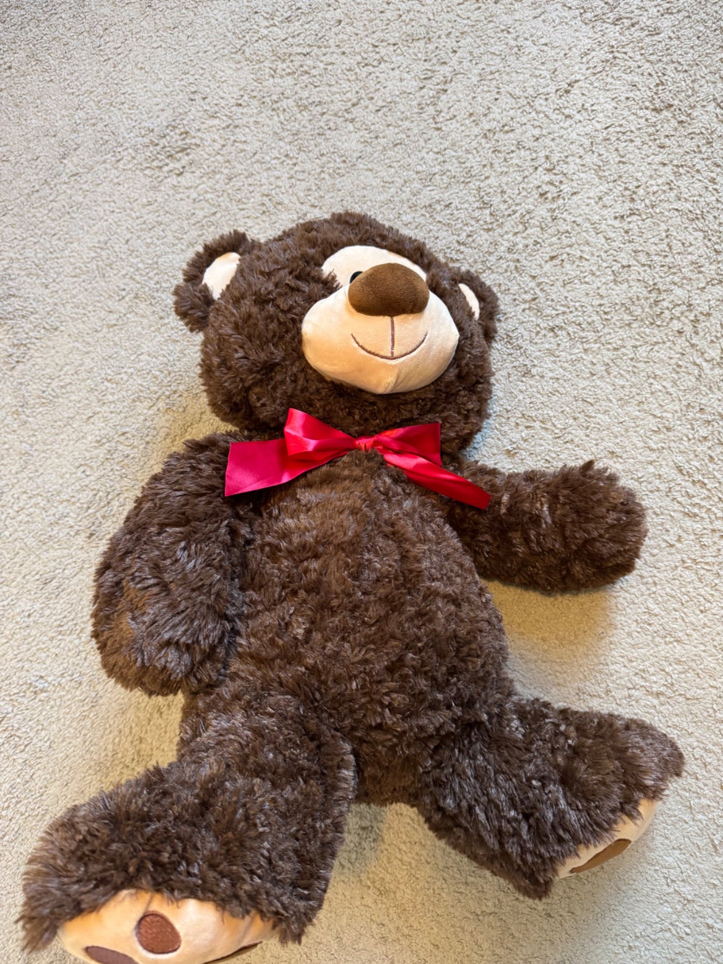 Large Teddy Bear