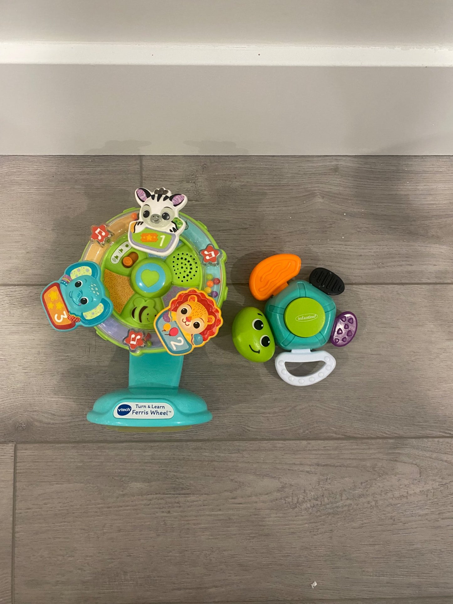 Turn & learn Ferris Wheel and turtle toy