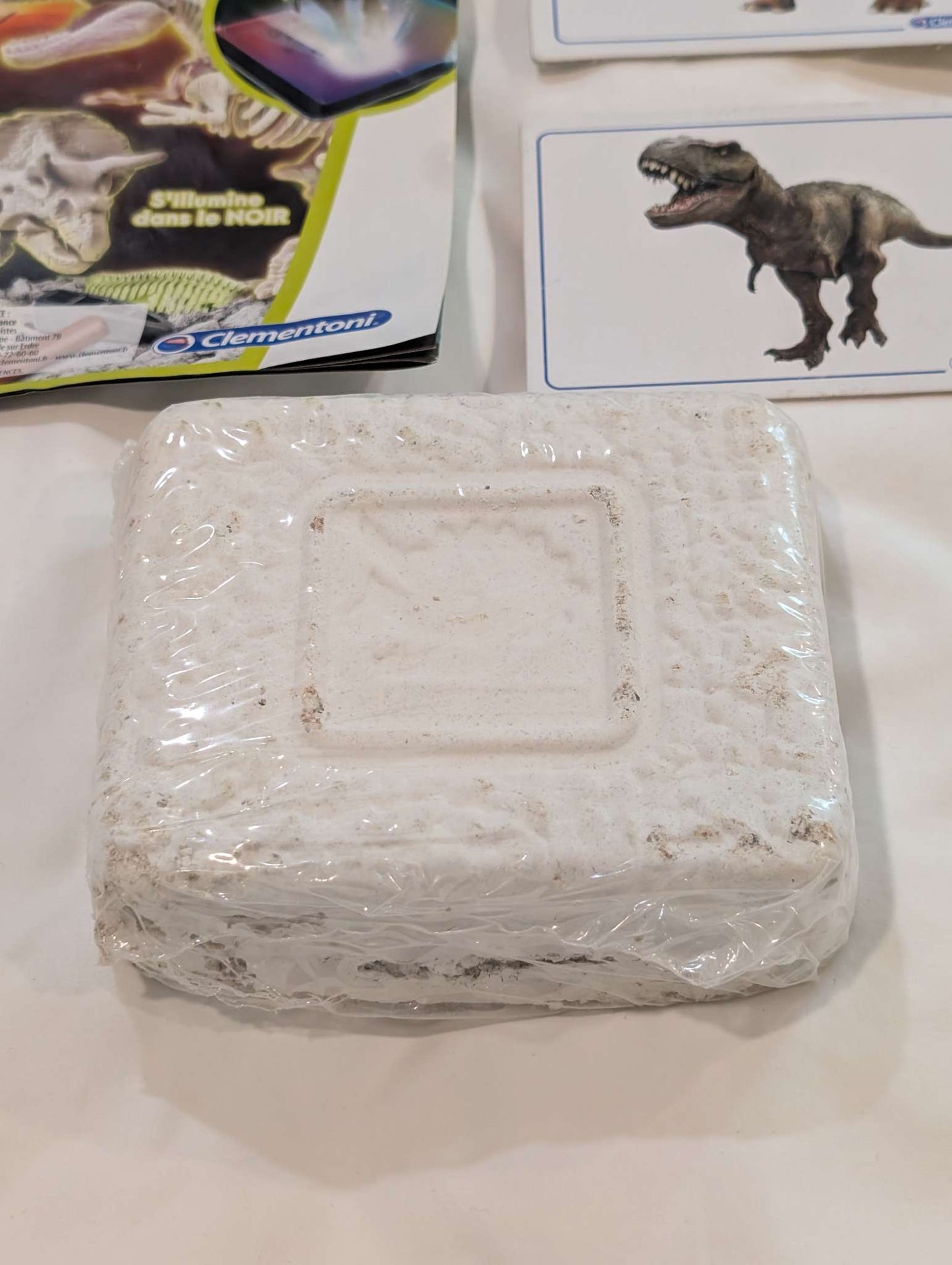 Dino Excavation Block-Triceratops