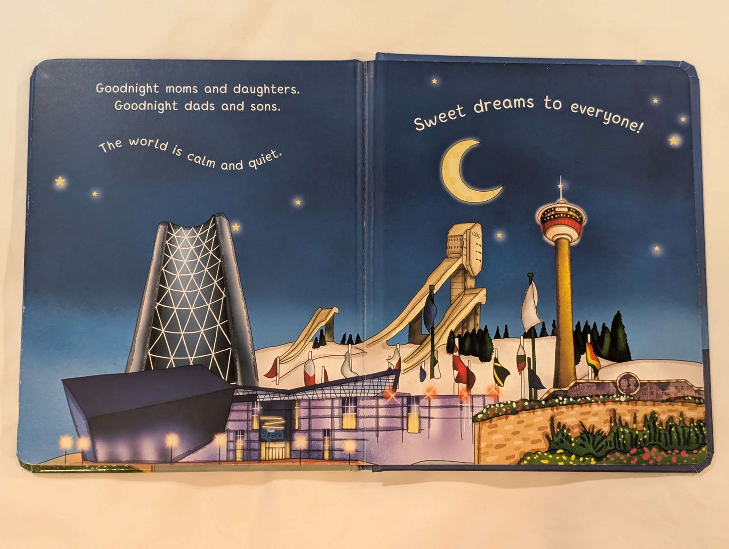 Night Night Calgary Book