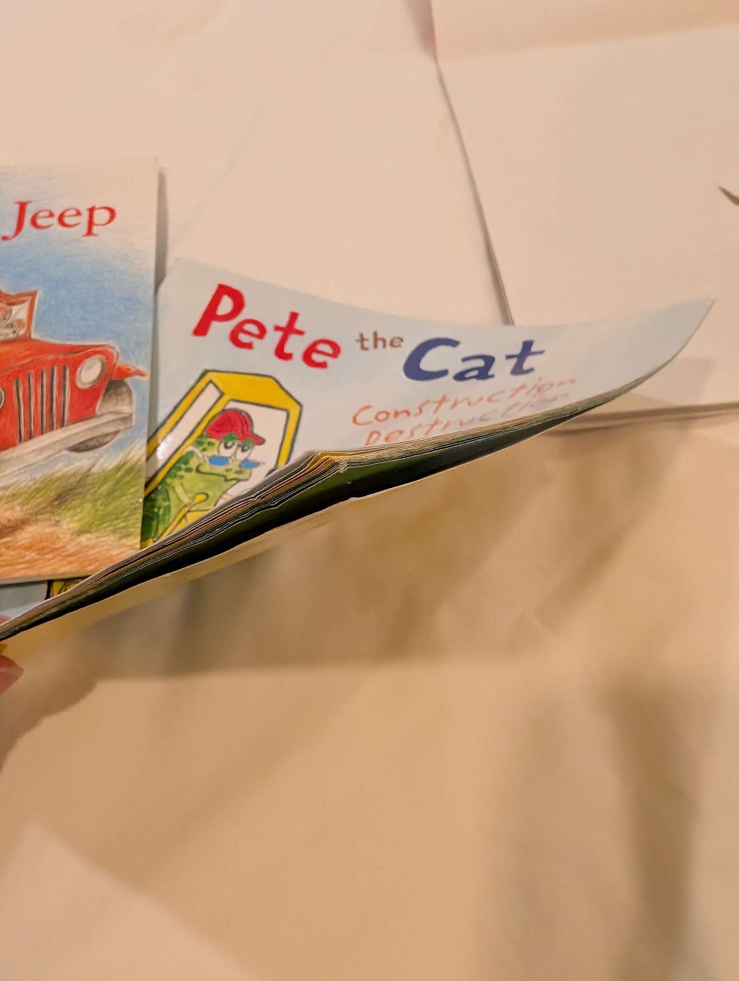 Sheep in a Jeep, Pete the Cat and The Stray Dog Books