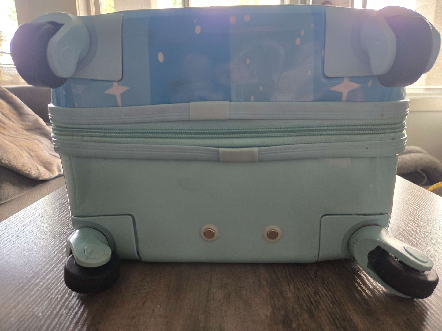 Paw Patrol carry-on luggage