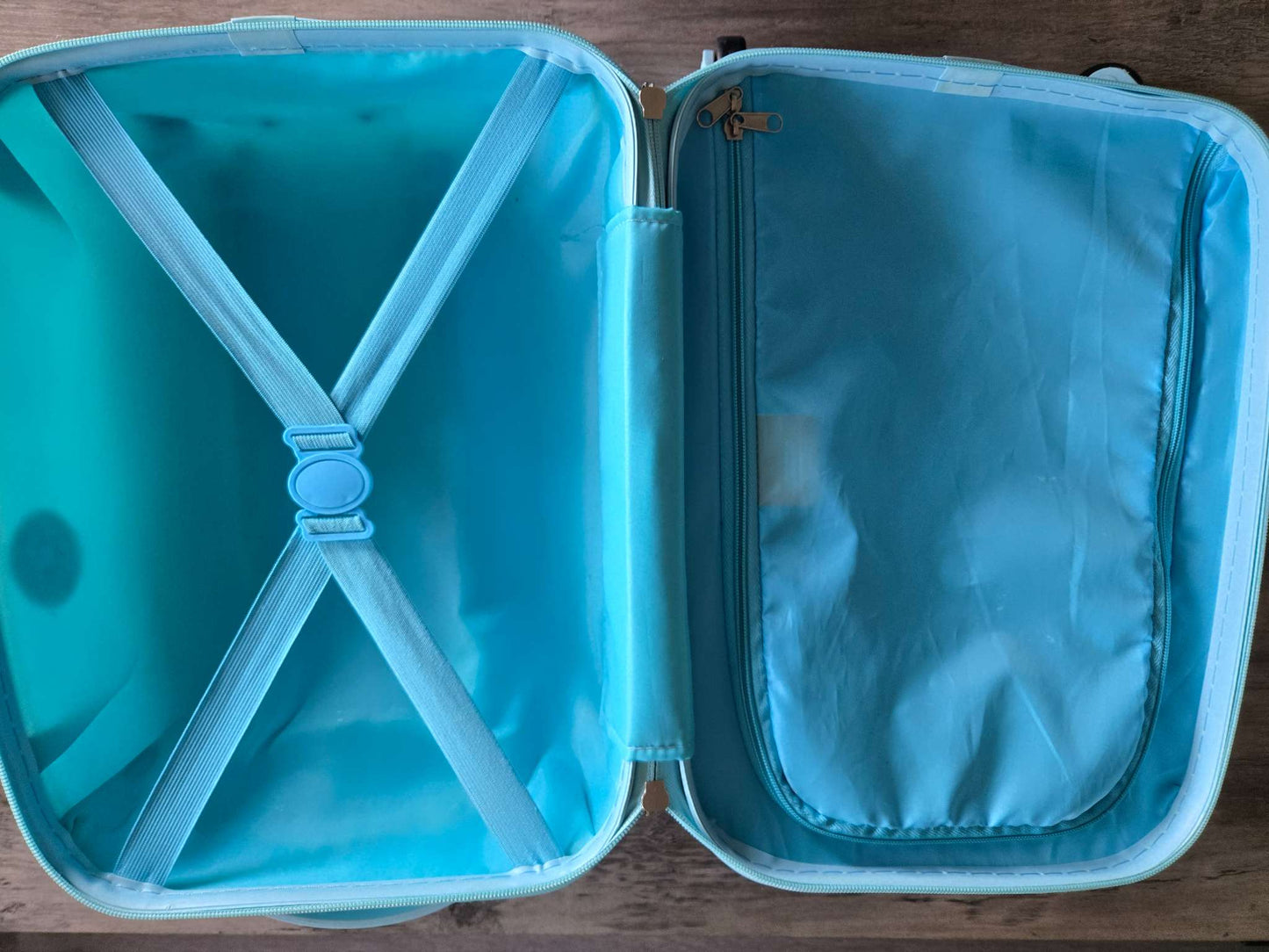 Paw Patrol carry-on luggage