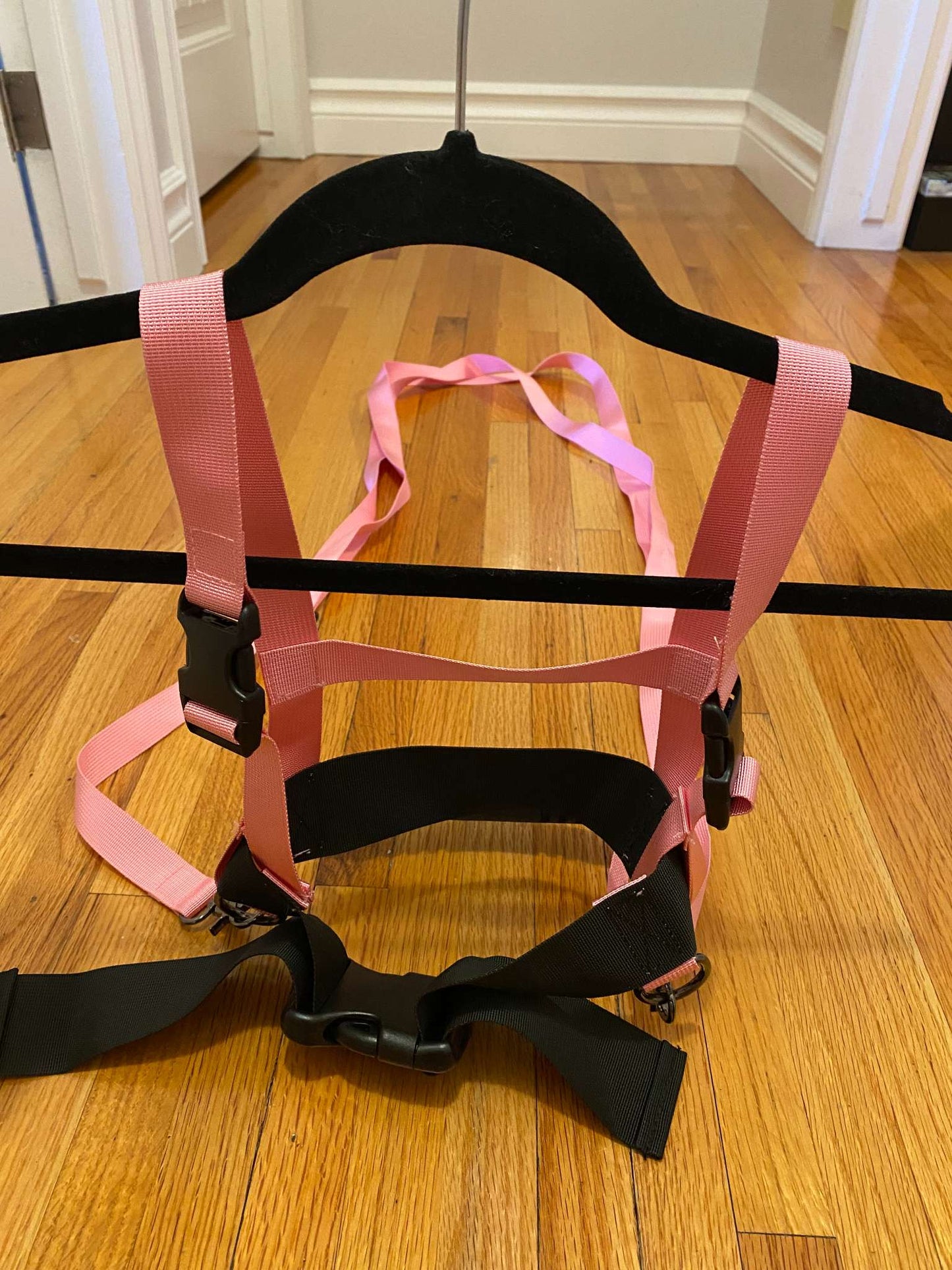 Ski Halter Harness, Pink, Fits ages ~2-7yrs