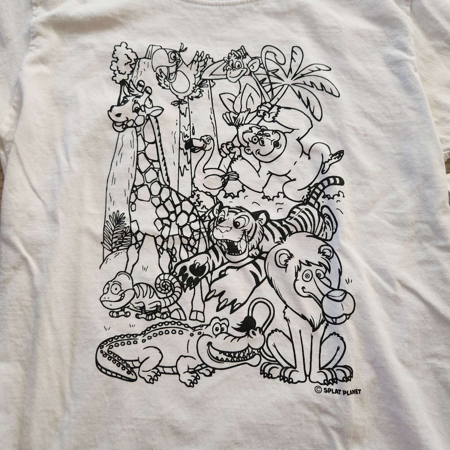 Coloring t-shirts