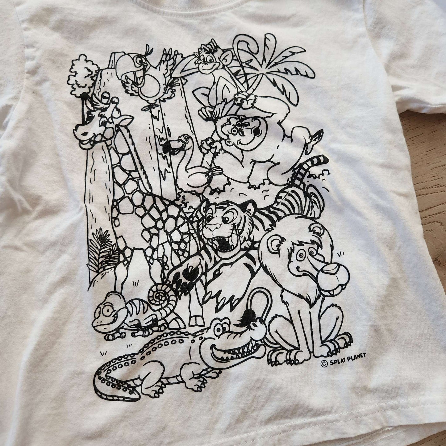Coloring t-shirts