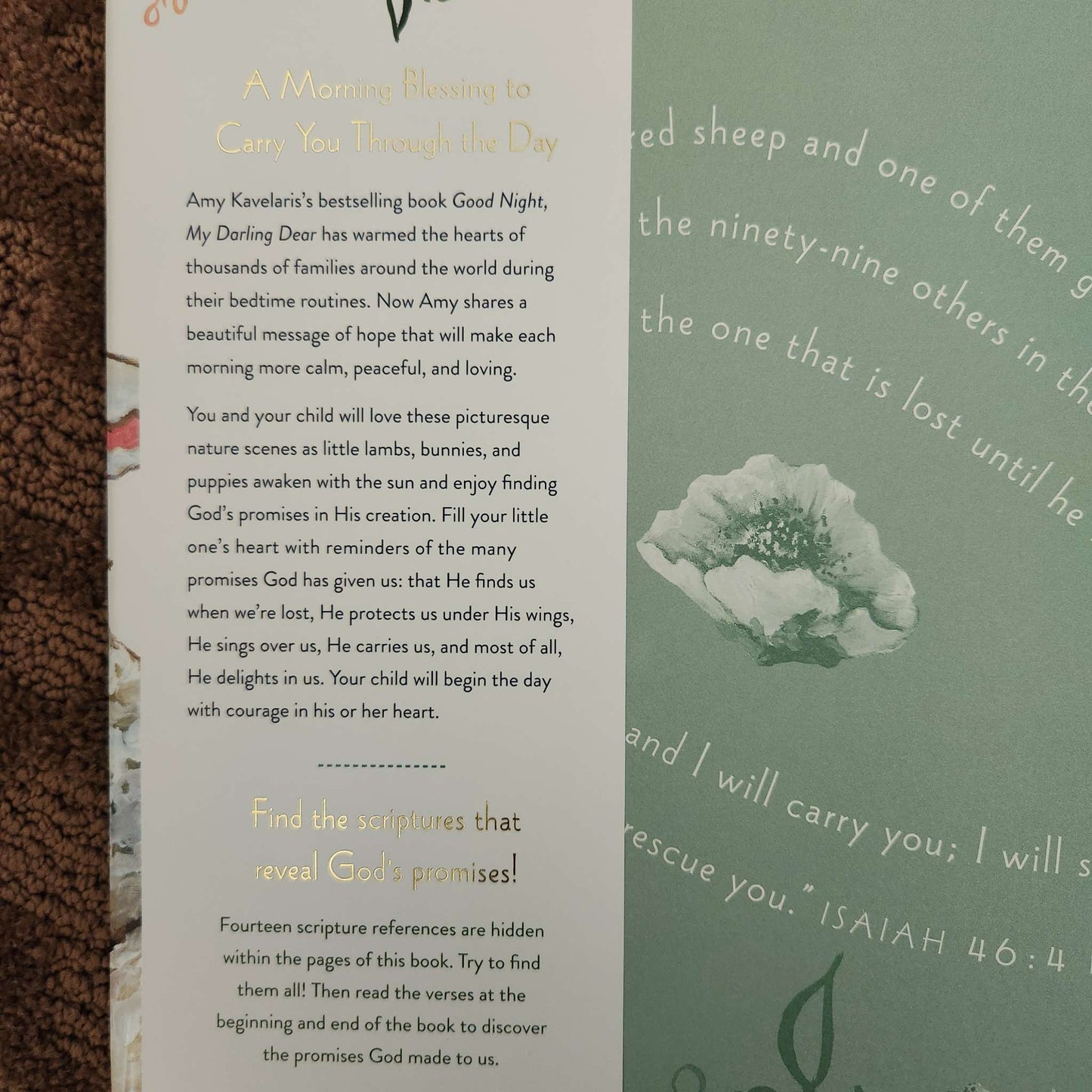 Christian children's book, morning blessings book