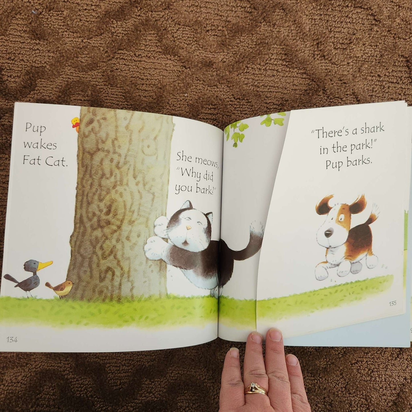 Usborne Phonics Stories, 12 stories in 1