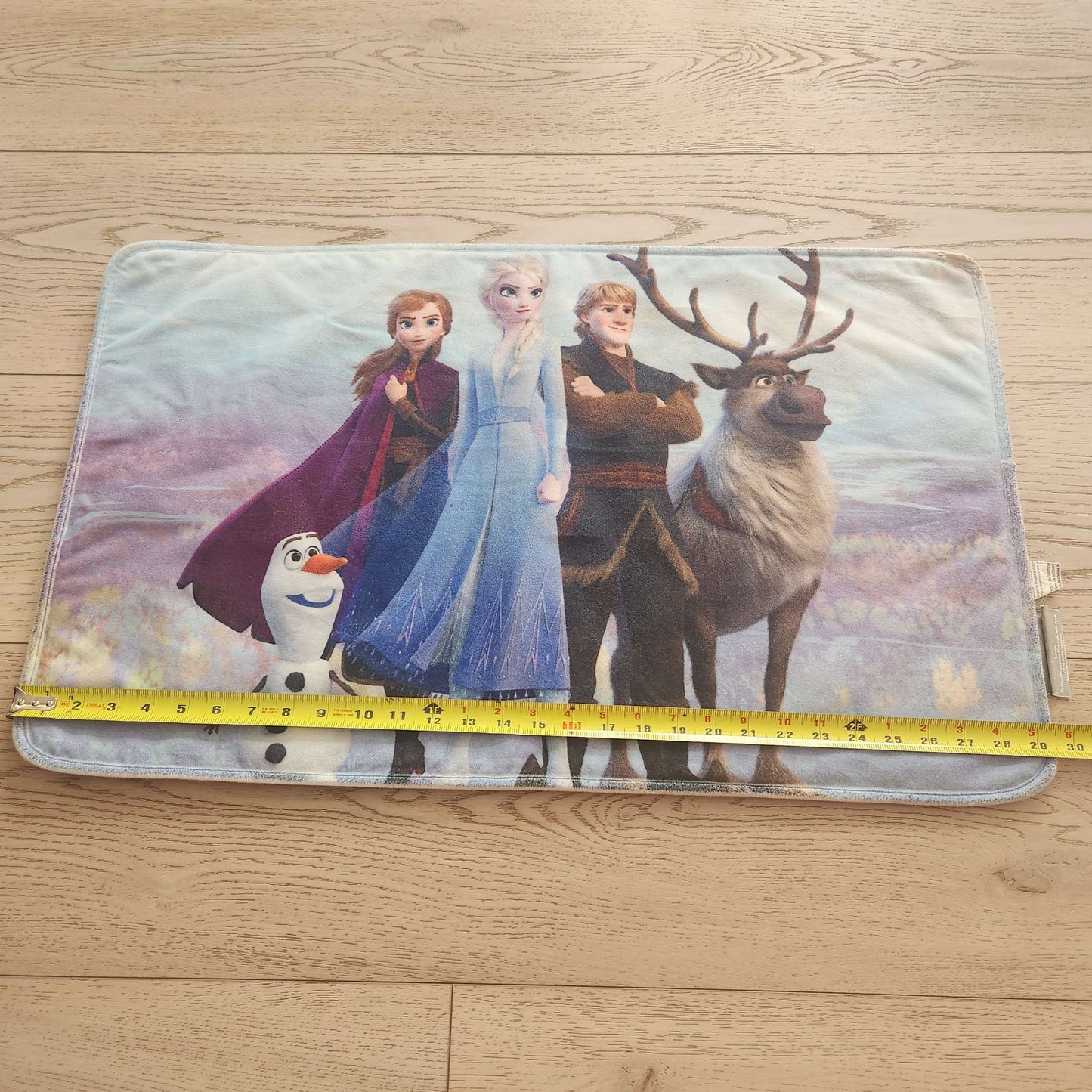 Frozen room mat