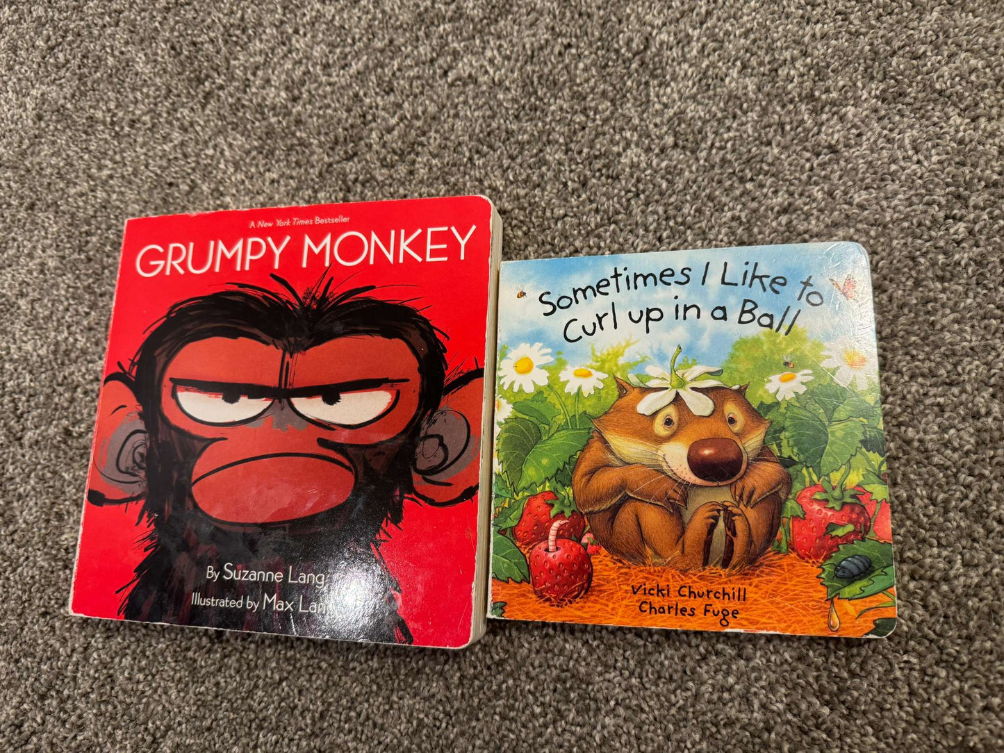 2 Book Bundle - "Grumpy Monkey" and "Sometimes I like to curl up into a ball" (MSRP $24.00)