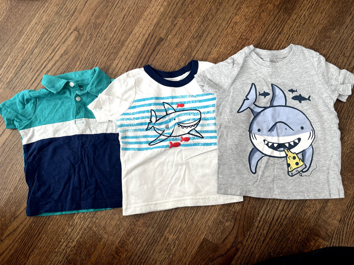 Carter's T-Shirt Set (3) 18M VGUC, Kids 18 Month (12-18M)