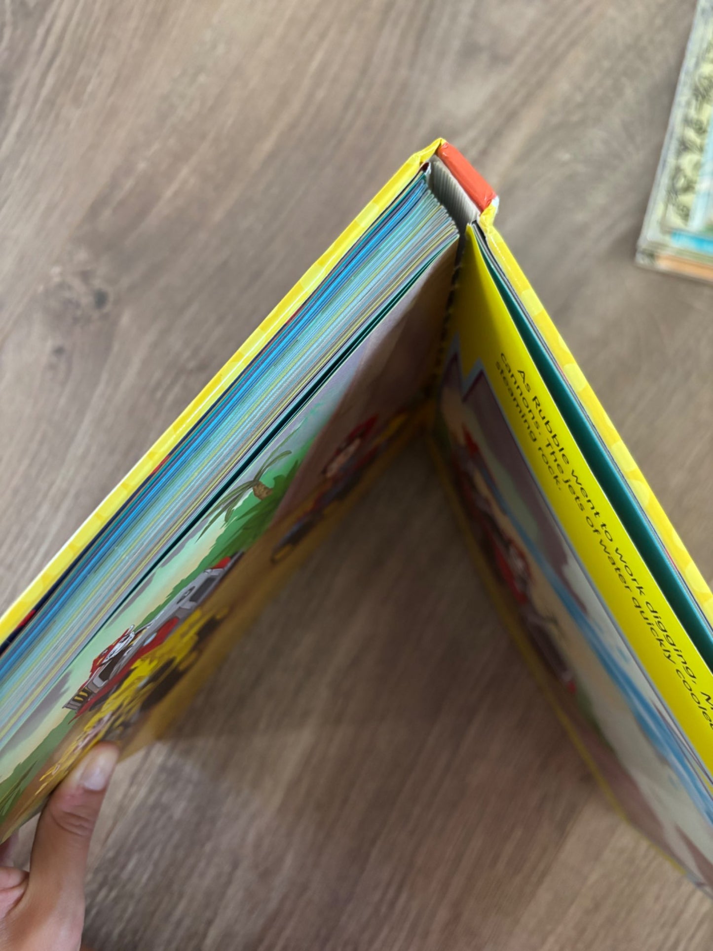 Paw Patrol stories to share book *damaged spine*