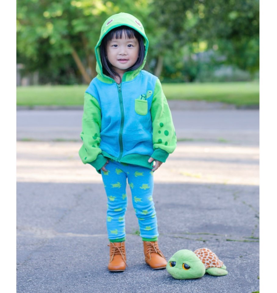 Doodle Pants 3T Turtle Hoodie with Attached Turtle Shell Backpack (Purchased for $50 USD), Kids 3T