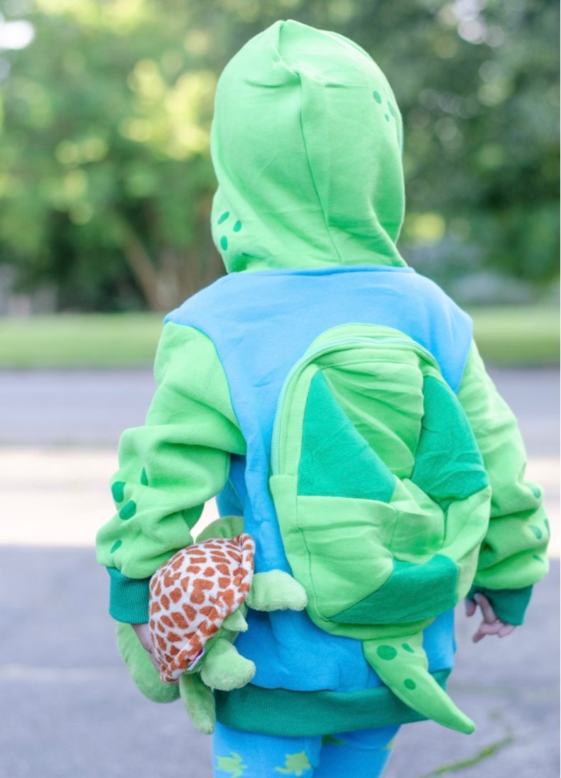 Doodle Pants 3T Turtle Hoodie with Attached Turtle Shell Backpack (Purchased for $50 USD), Kids 3T