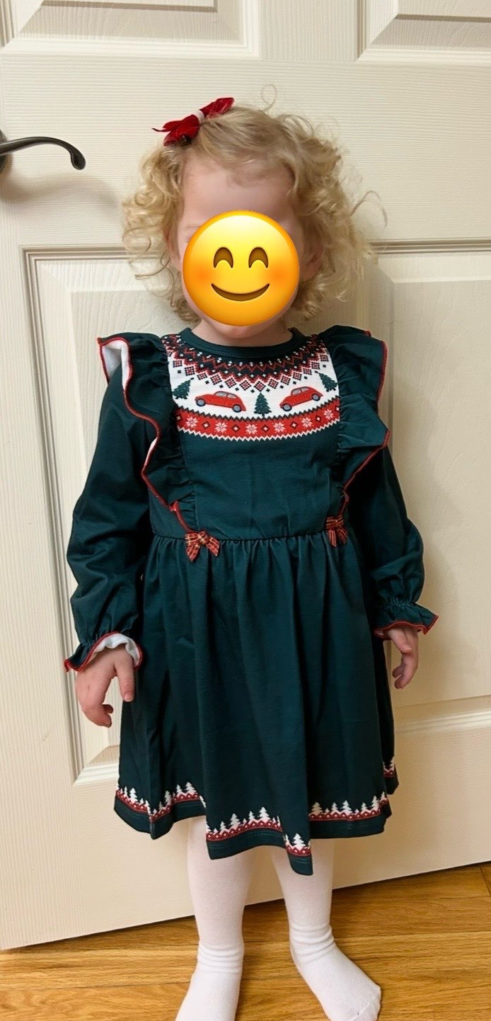 Toddler Girls 3-4T Winter/Christmas Dress , Kids 3T