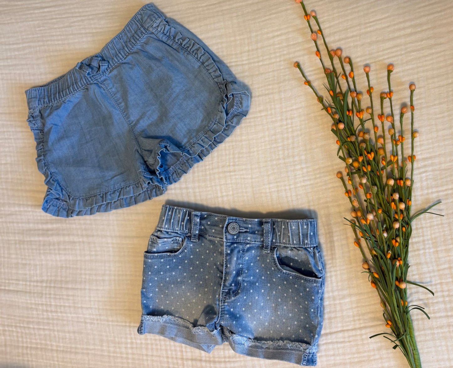 Toddler Girls 4T Summer Bundle (4 Items) , Kids 4/4T