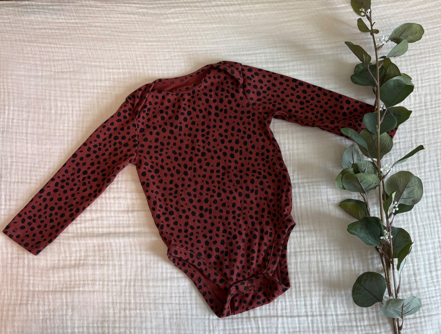 18-24 Months Baby Girl "Shades of Brown" Bundle (4 items) , Kids 24 Month (18-24M)