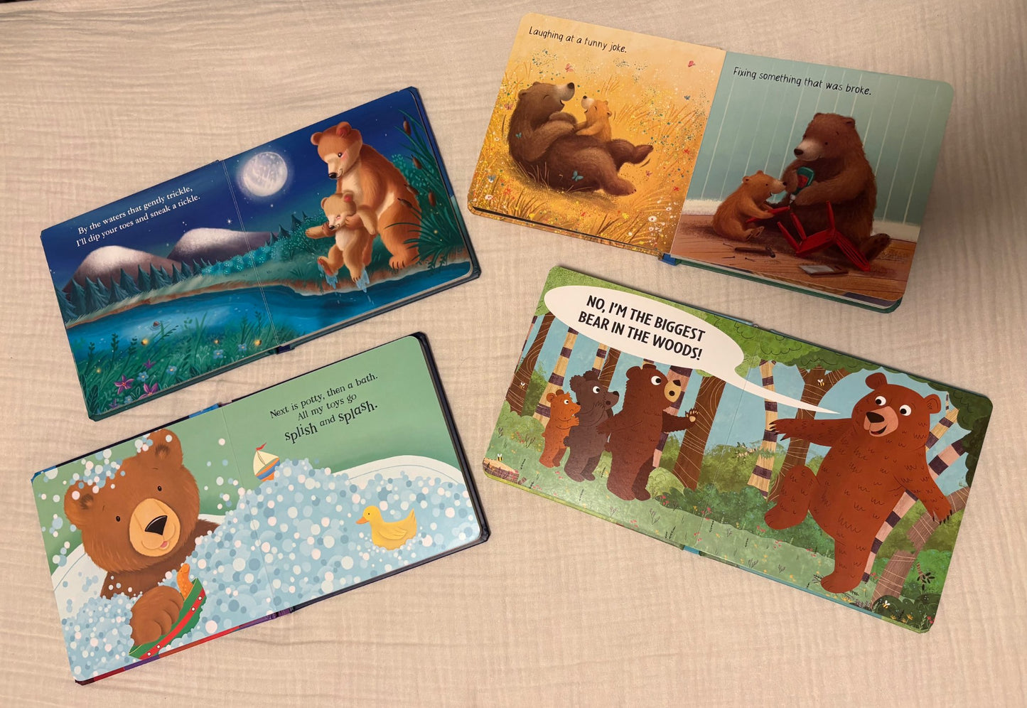 Bear Board Book Bundle (Little Hippo Books Publishing Company)