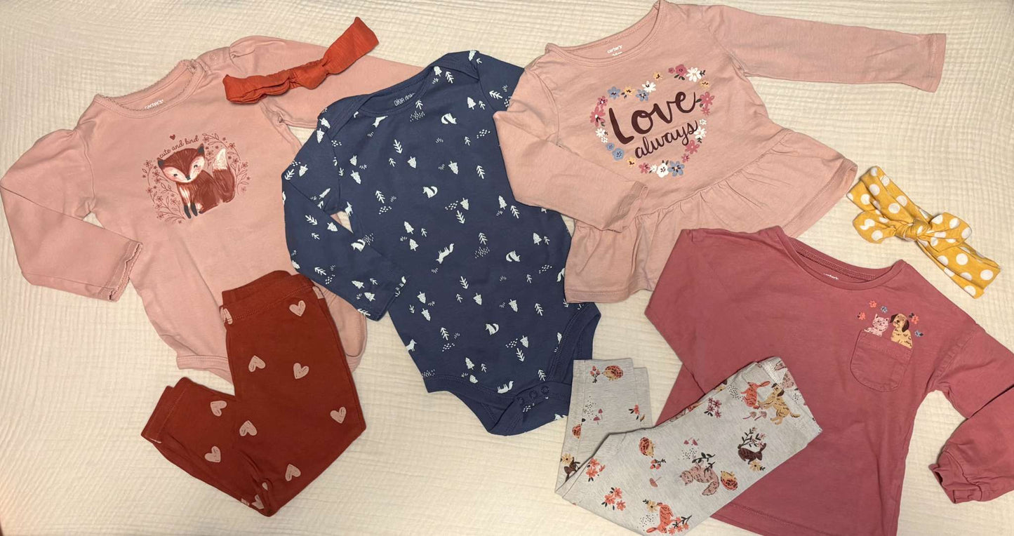 Baby Girl 24 Months Clothing Bundle (8 Items) , Kids 24 Month (18-24M)