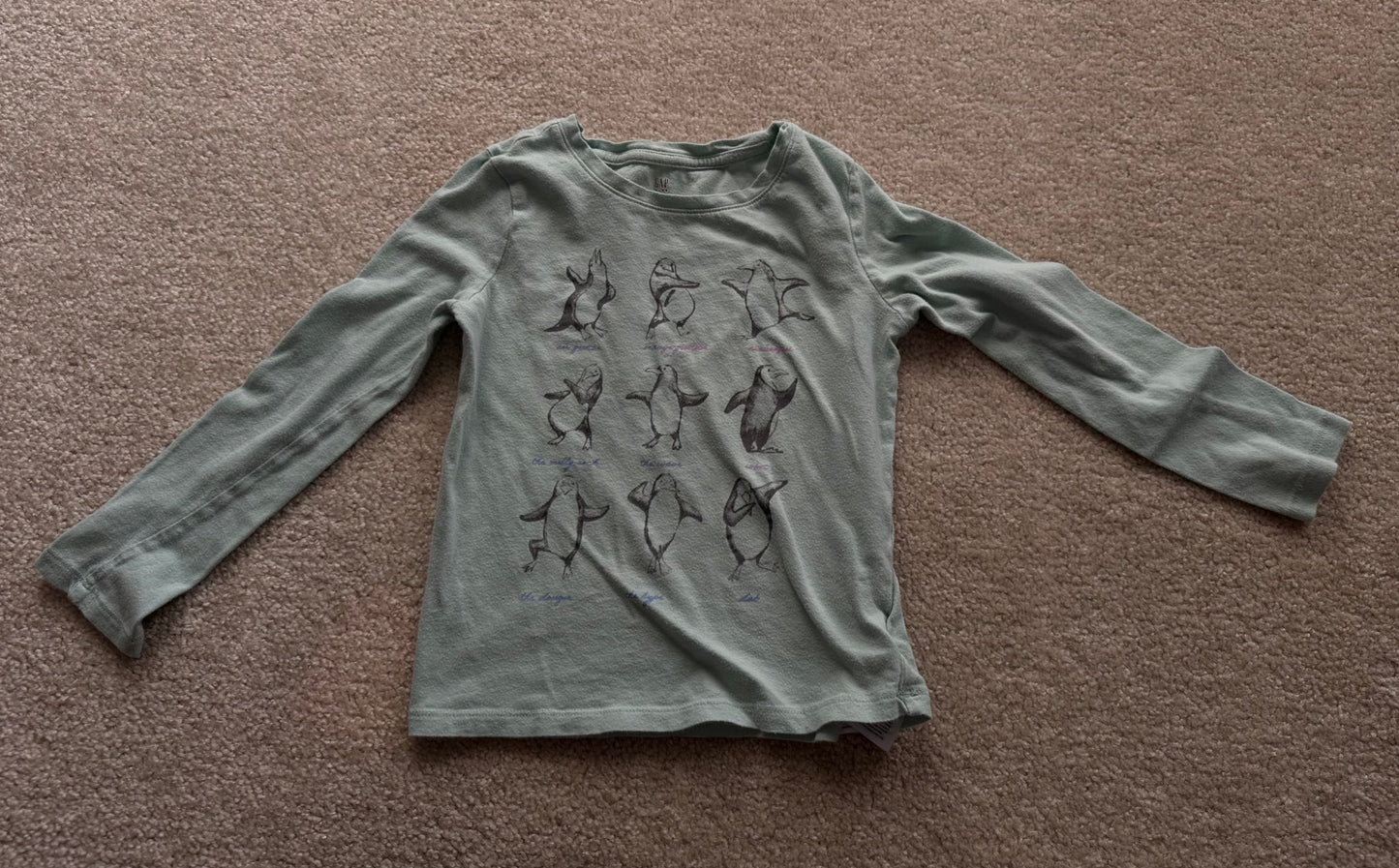 Girls long sleeve shirt bundle, Kids 6/6X