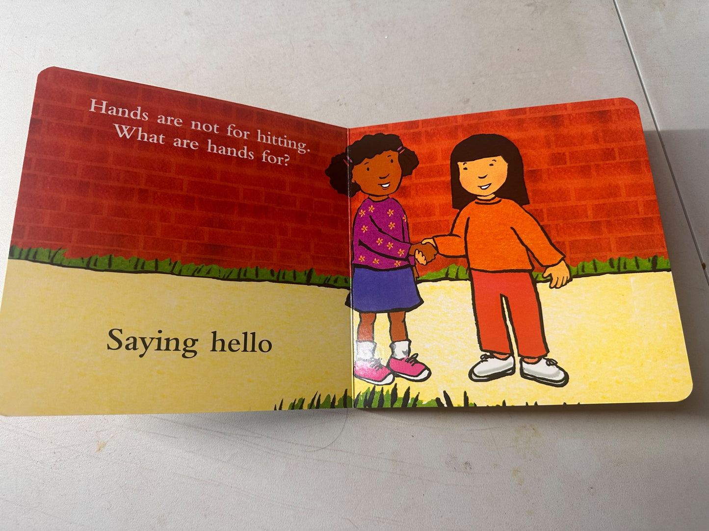 Hands are not for hitting board book