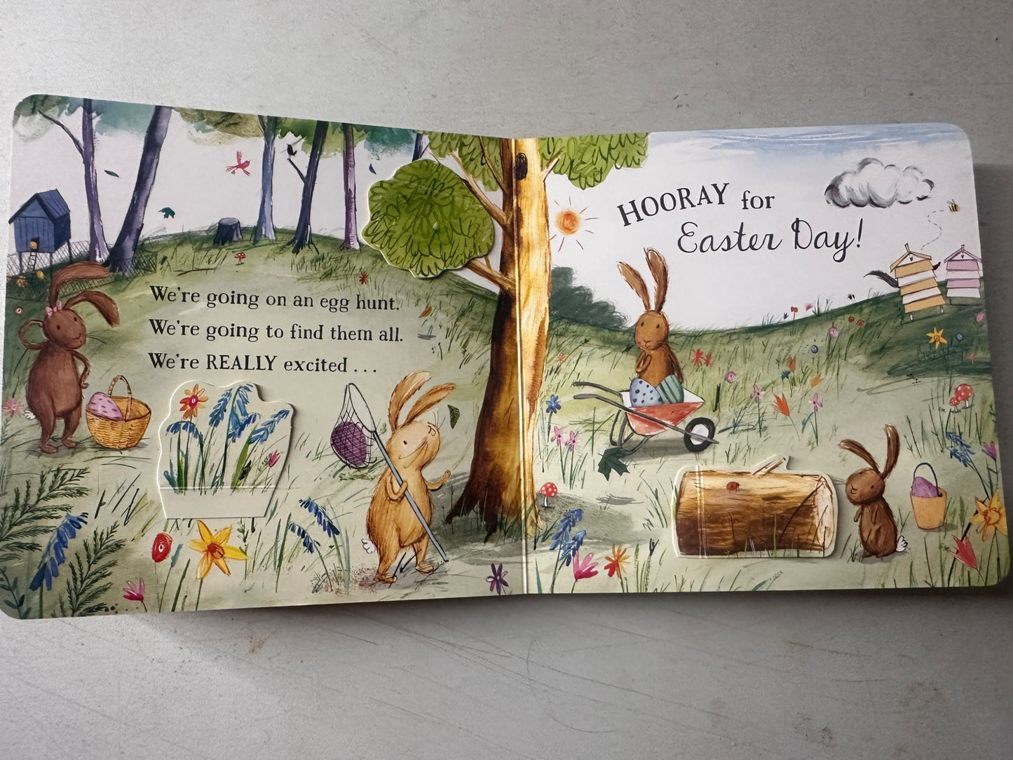 We are going on an egg hunt board book