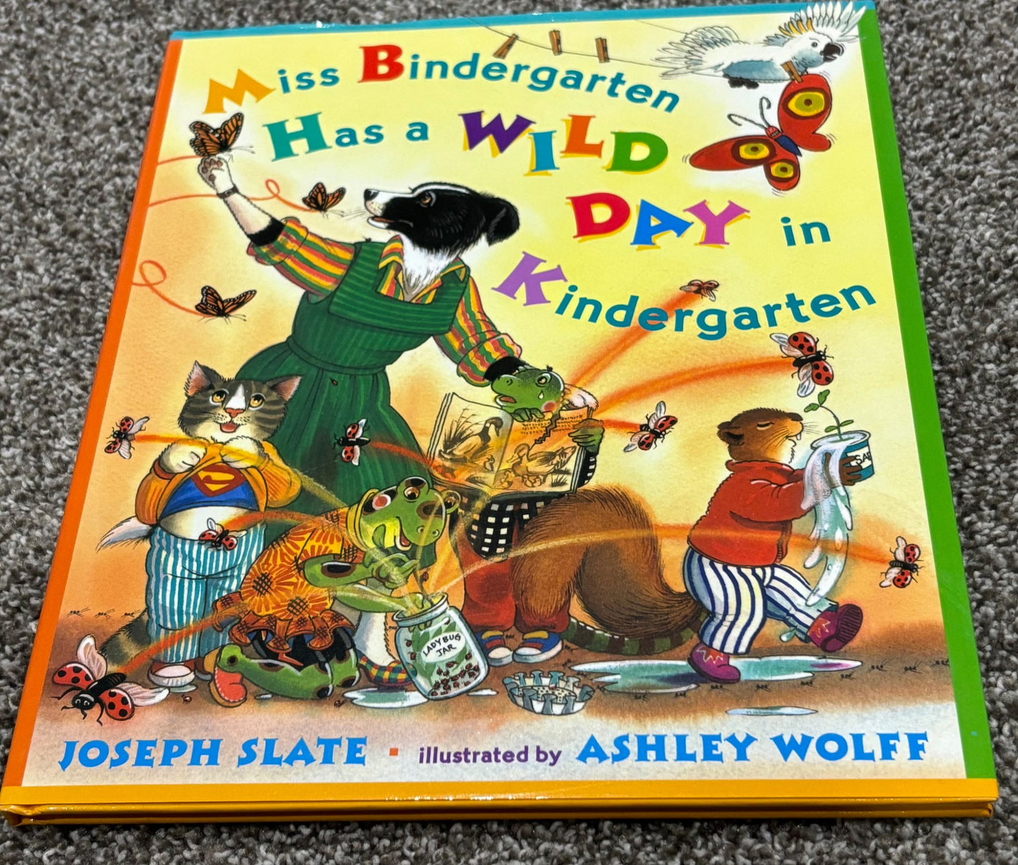 NEW - MISS BINDERGARTEN Has a Wild Day in Kindergarten hardcover book - Retail $25