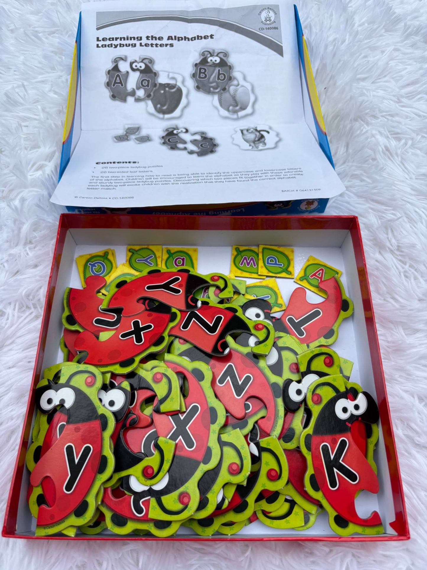 Carson Dellosa Ladybug Letters game