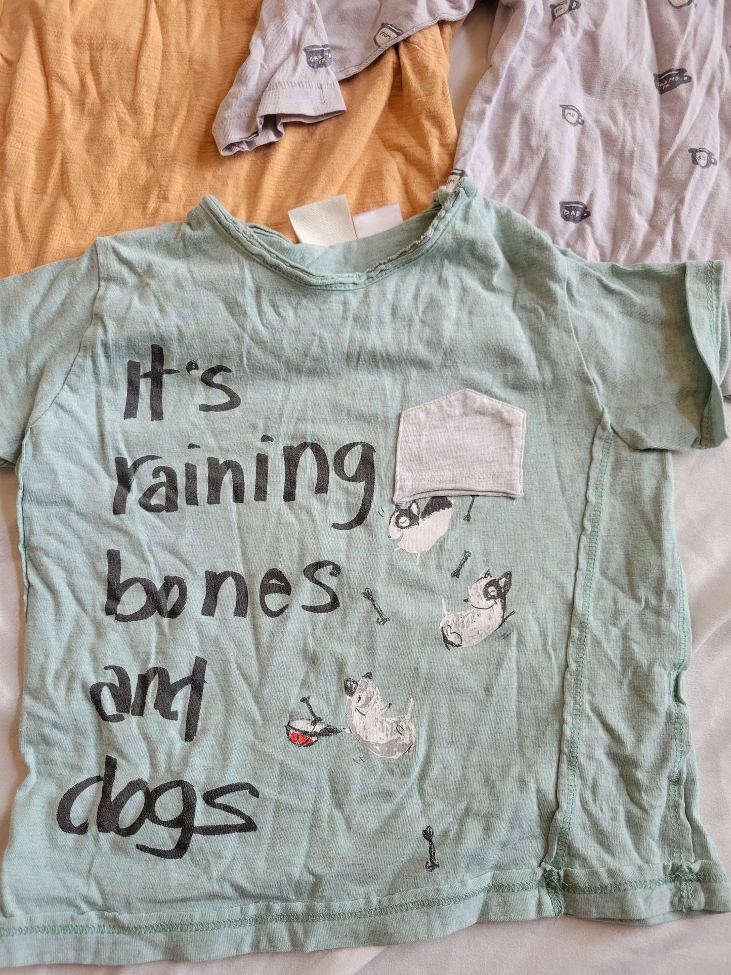 Zara 3 Pack Shirts (Orange, "Its Raining Bones & Dogs" & Tea Cup) Size 2/3, Kids 2T