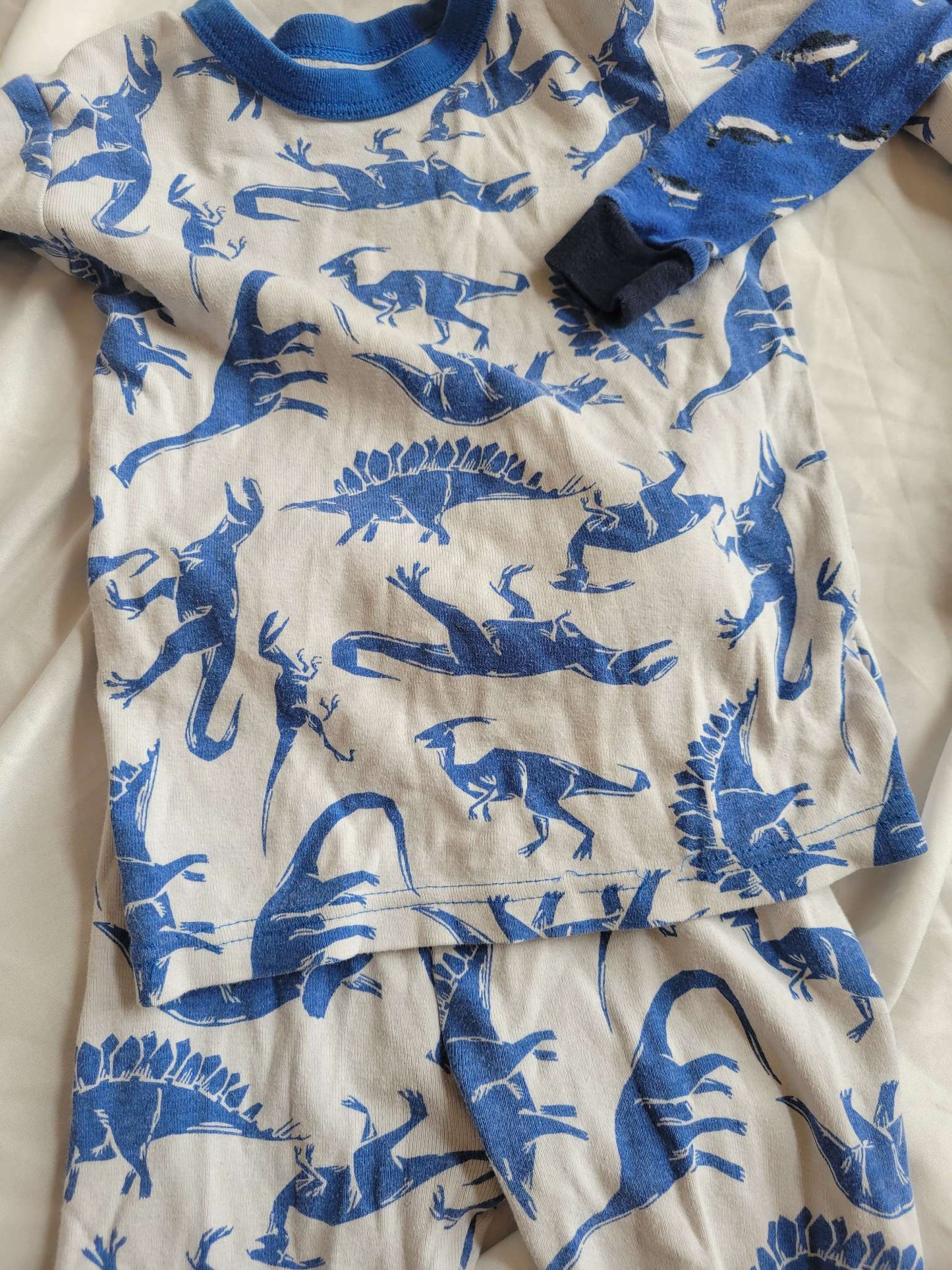 2 PJ Sets - White/Blue Dinos & Blue Penguins (4T), Kids 4/4T