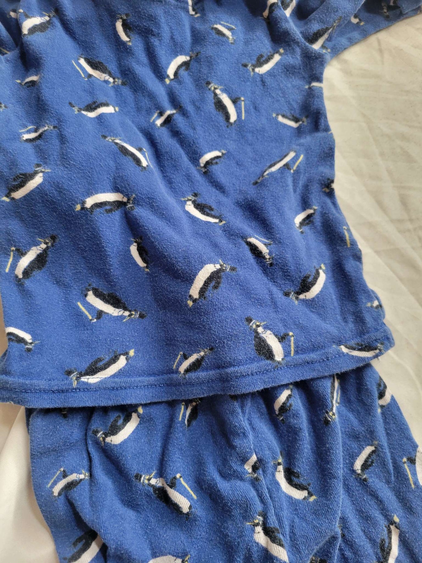 2 PJ Sets - White/Blue Dinos & Blue Penguins (4T), Kids 4/4T