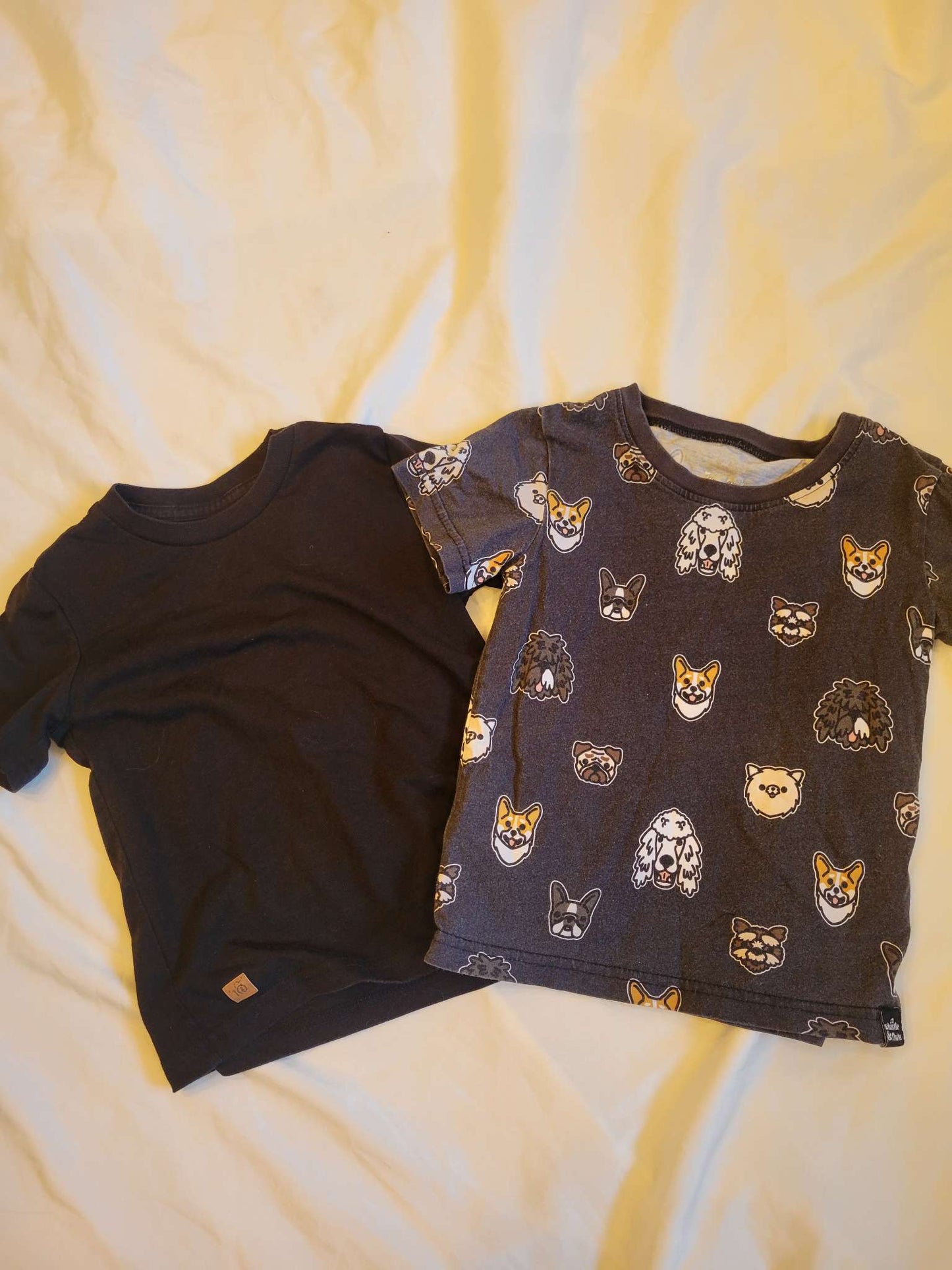 2 T-Shirts - Whistle & Flute Dog / Ten Tree Black Shirt , Kids 3T
