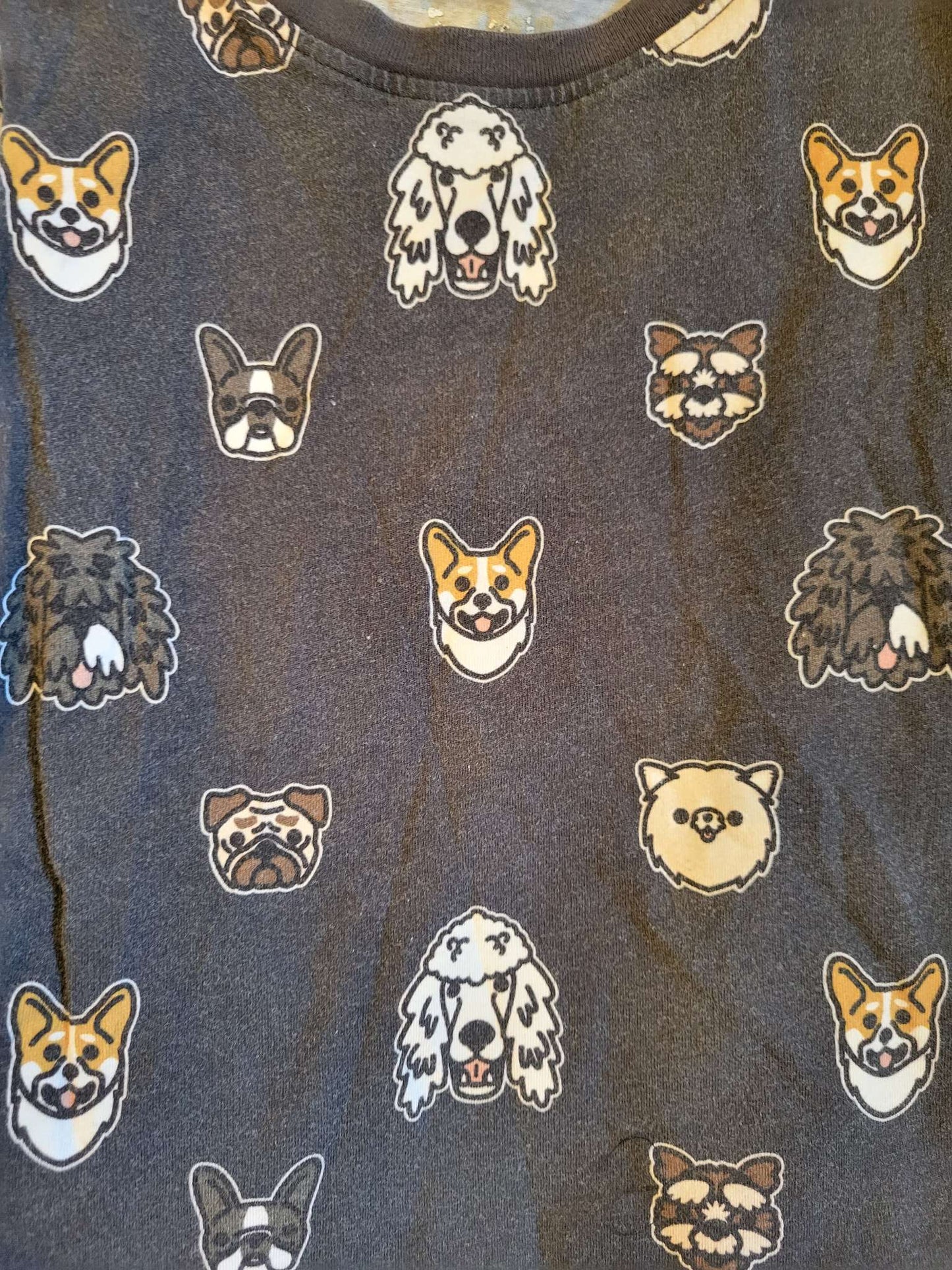 2 T-Shirts - Whistle & Flute Dog / Ten Tree Black Shirt , Kids 3T