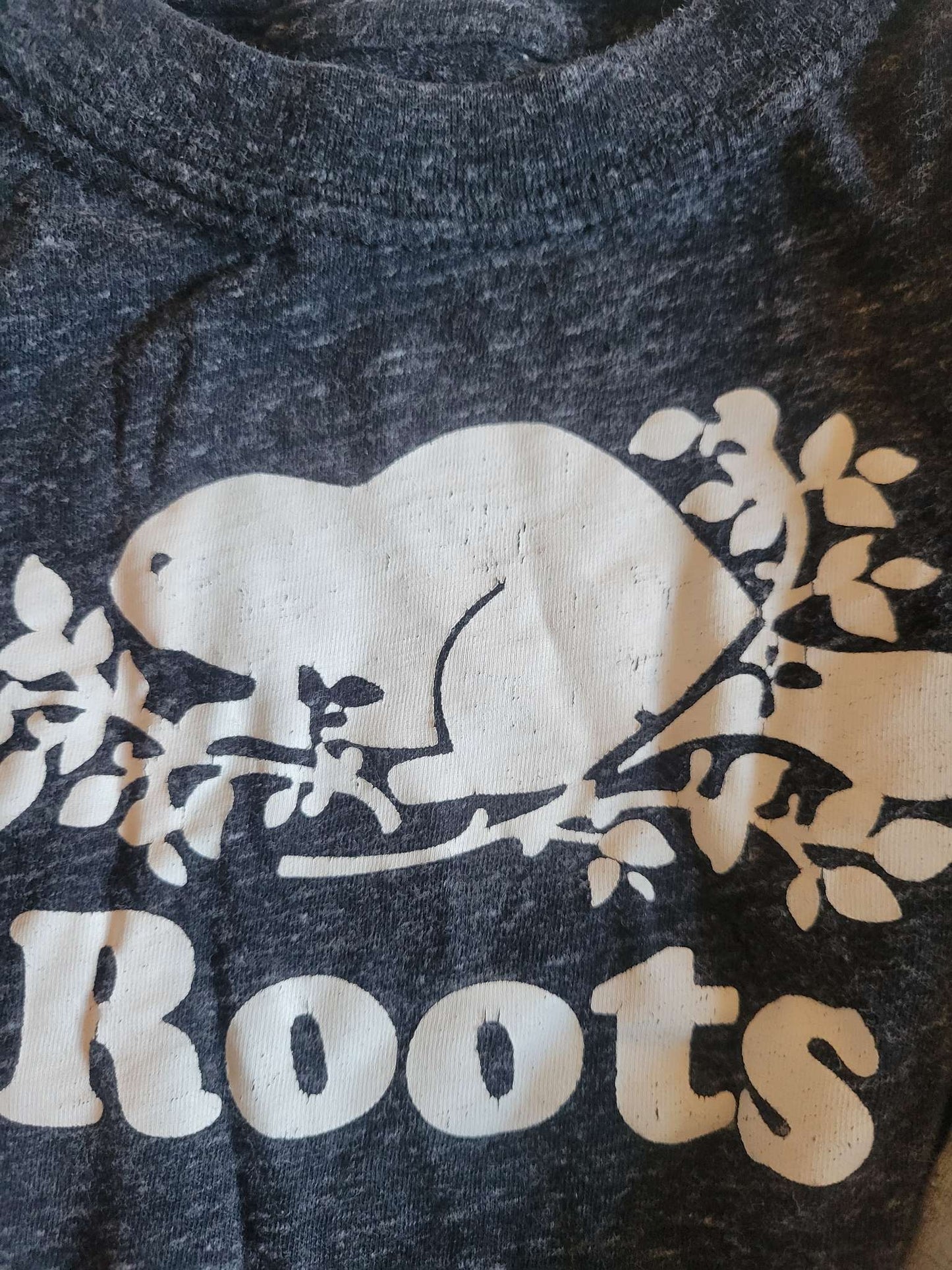2 Roots Long sleeve - Dark Gray Beaver & Gray Forest (3T) , Kids 3T