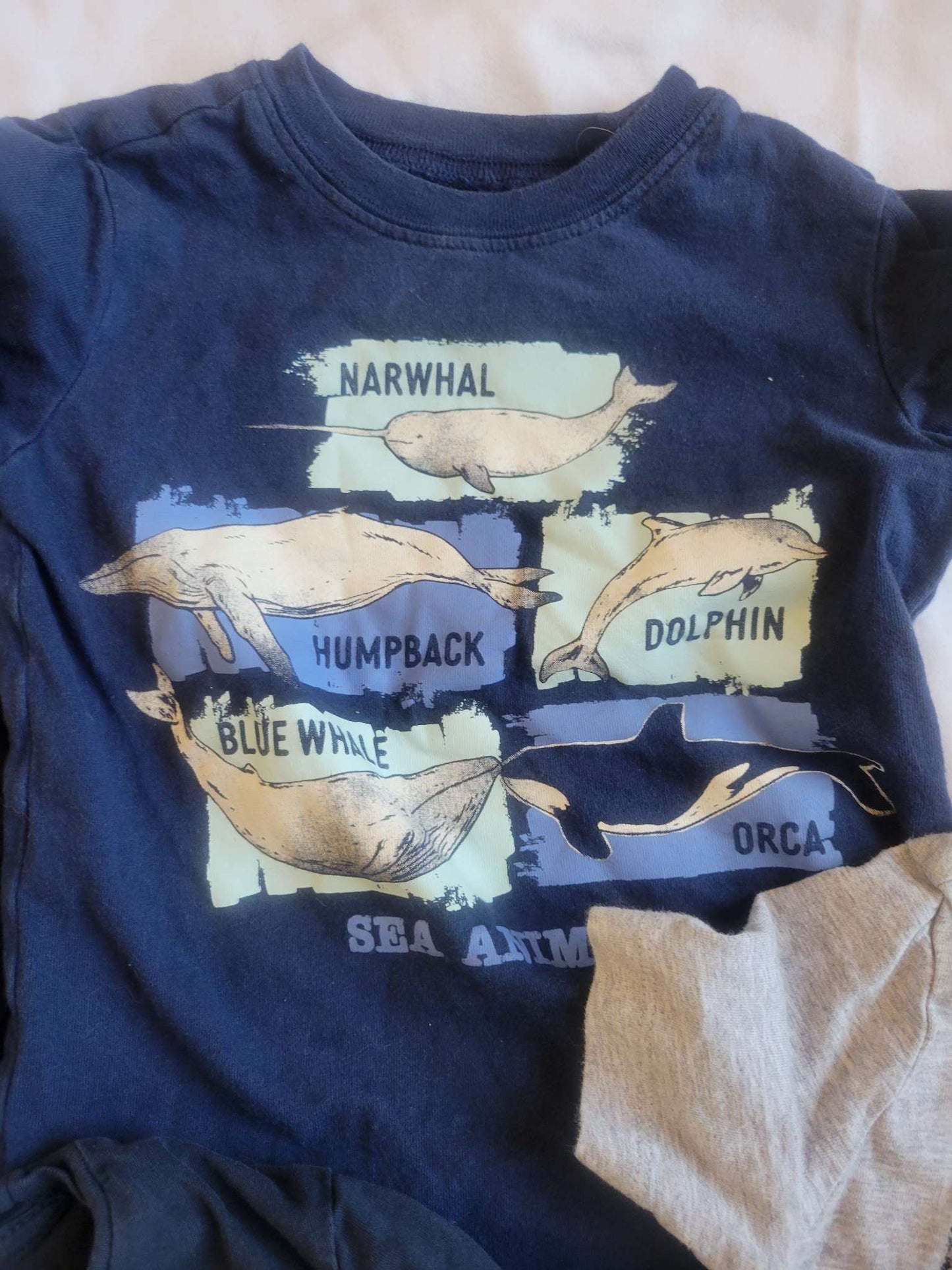 4 Shirts  - Black Moon, Blue Whales, Blue Dinos, Gray Triceratops - 3T, Kids 3T