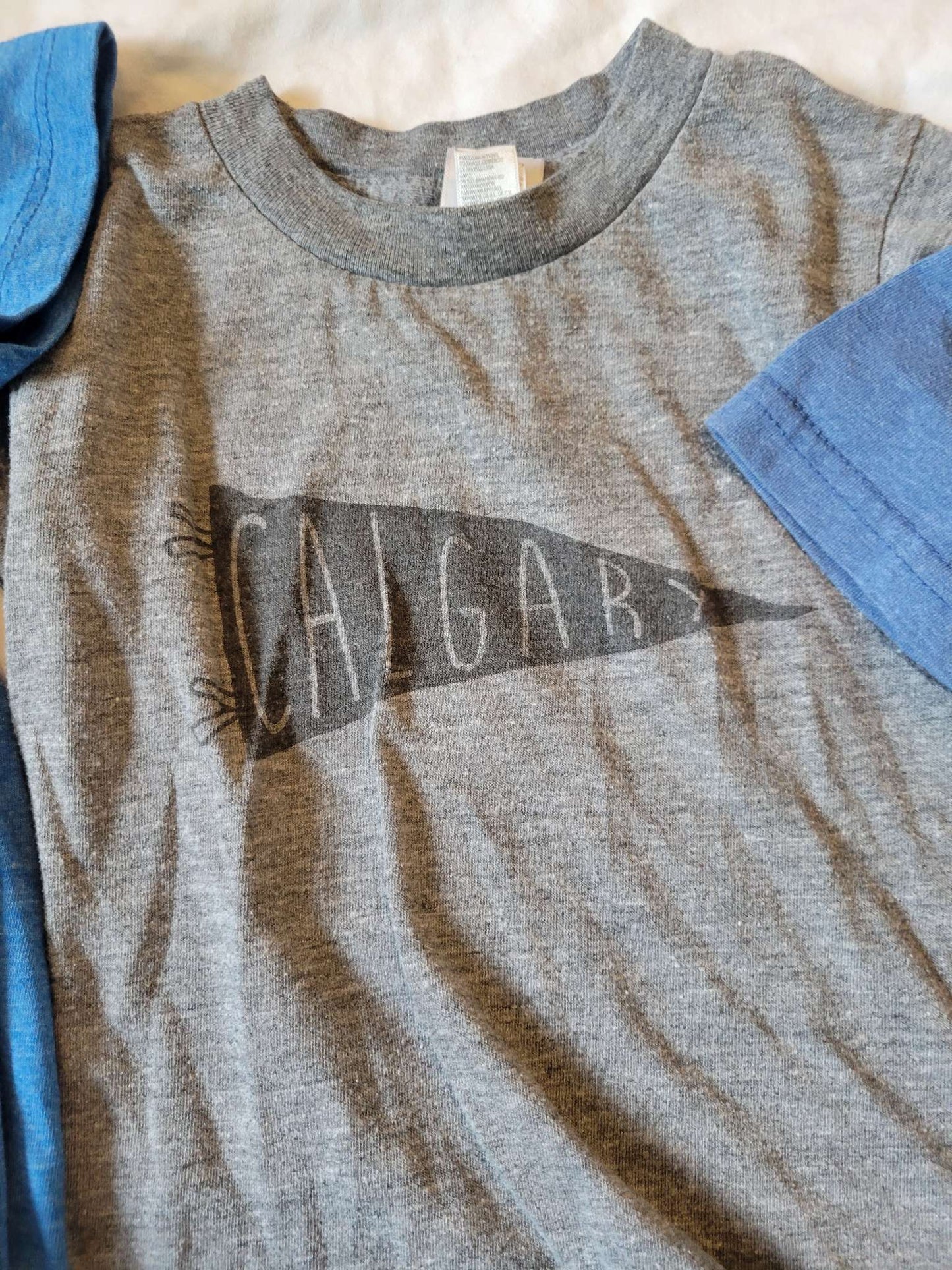 3 T-shirts - Blue Pandass, Gray "Calgary" and Blue Mickey Mouse (all 2T) , Kids 2T