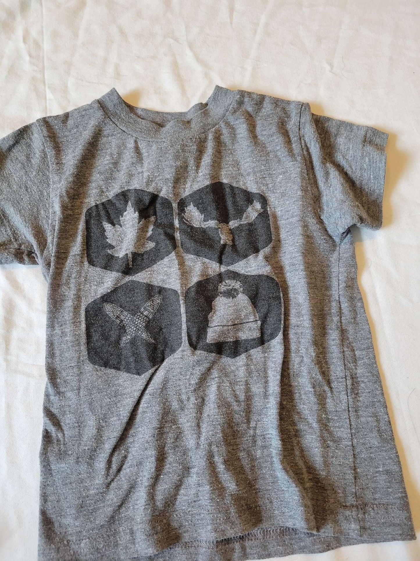 2 Gray Tshirts (Small Shop) - "Let's Sleep Under the Stars" and Canadian Moose/Leaf/Toque - Size 2T , Kids 2T