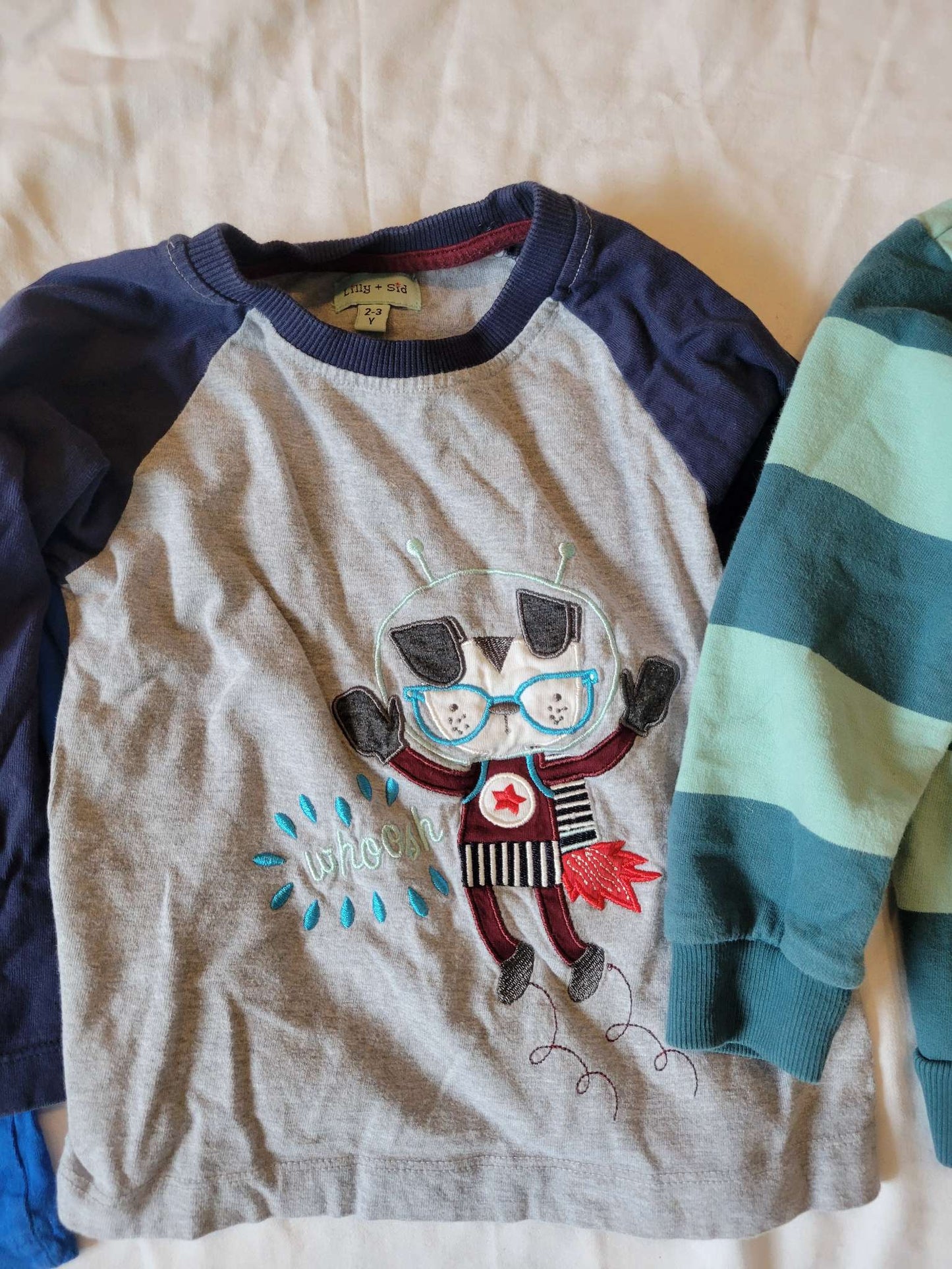 3 Long Sleeves - Blue Giraffe (Interactive), Dog Astronaut and Blue Striped Sweatshirt (Size 2/3) , Kids 2T