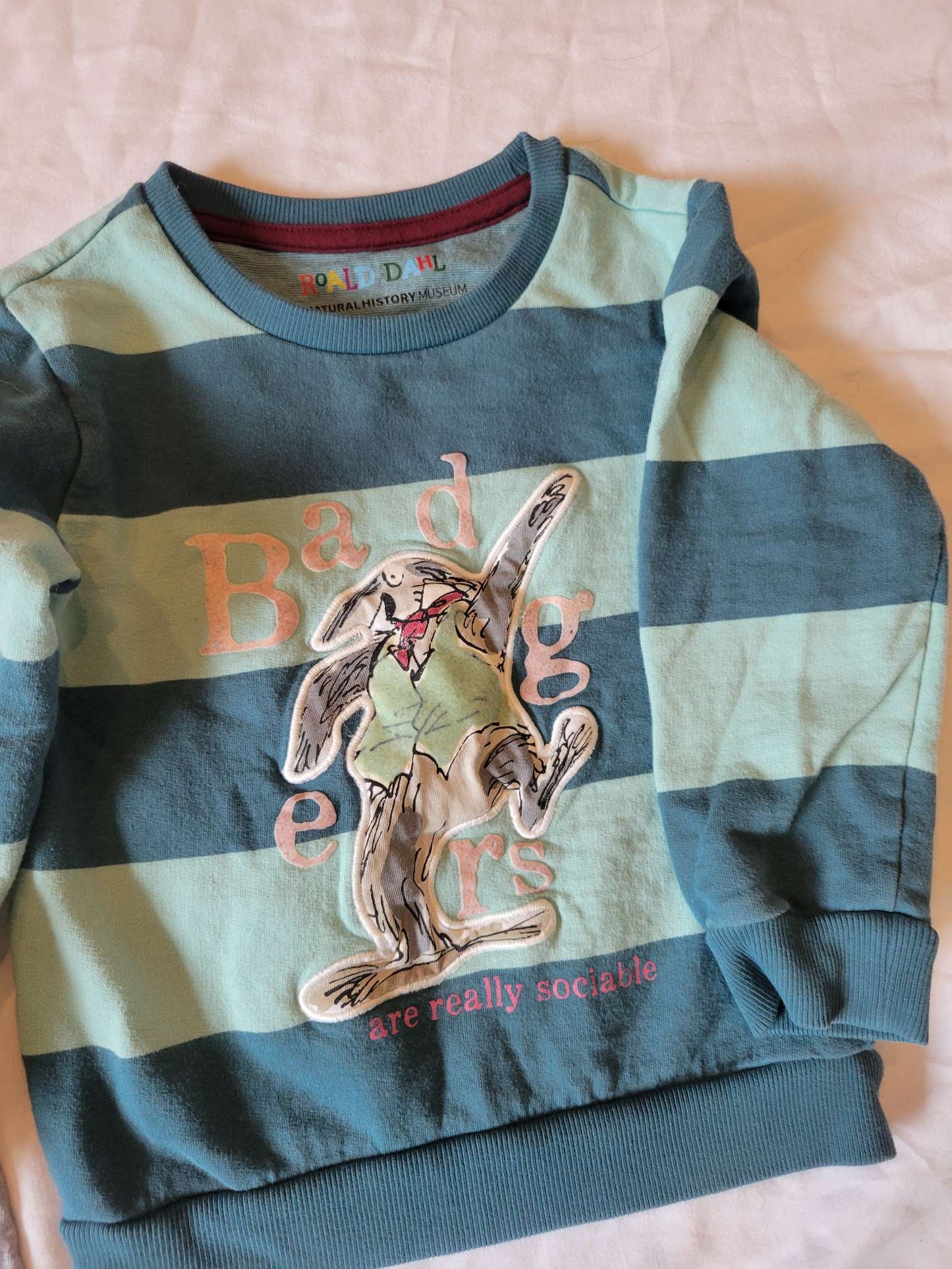 3 Long Sleeves - Blue Giraffe (Interactive), Dog Astronaut and Blue Striped Sweatshirt (Size 2/3) , Kids 2T