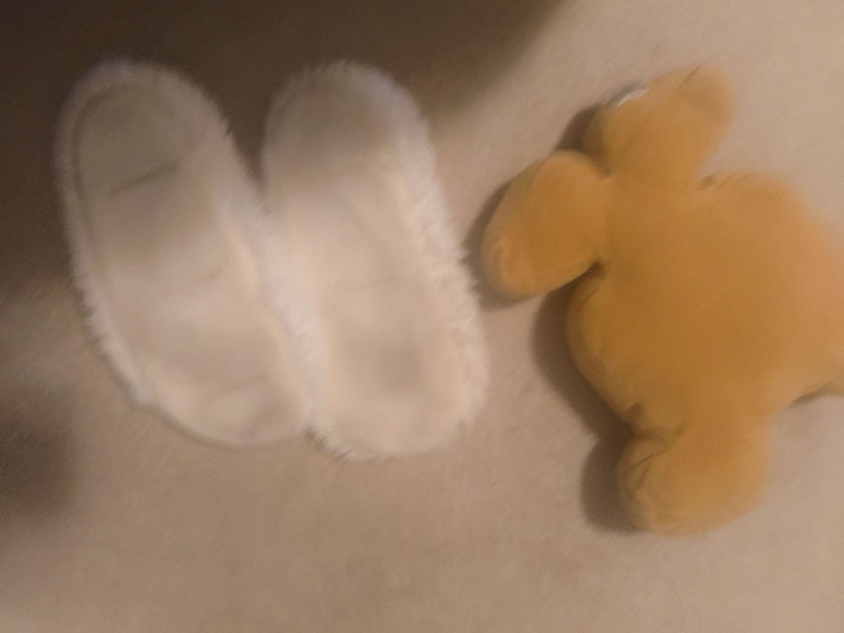 Zero gingerbread stuffy and Jack slippers