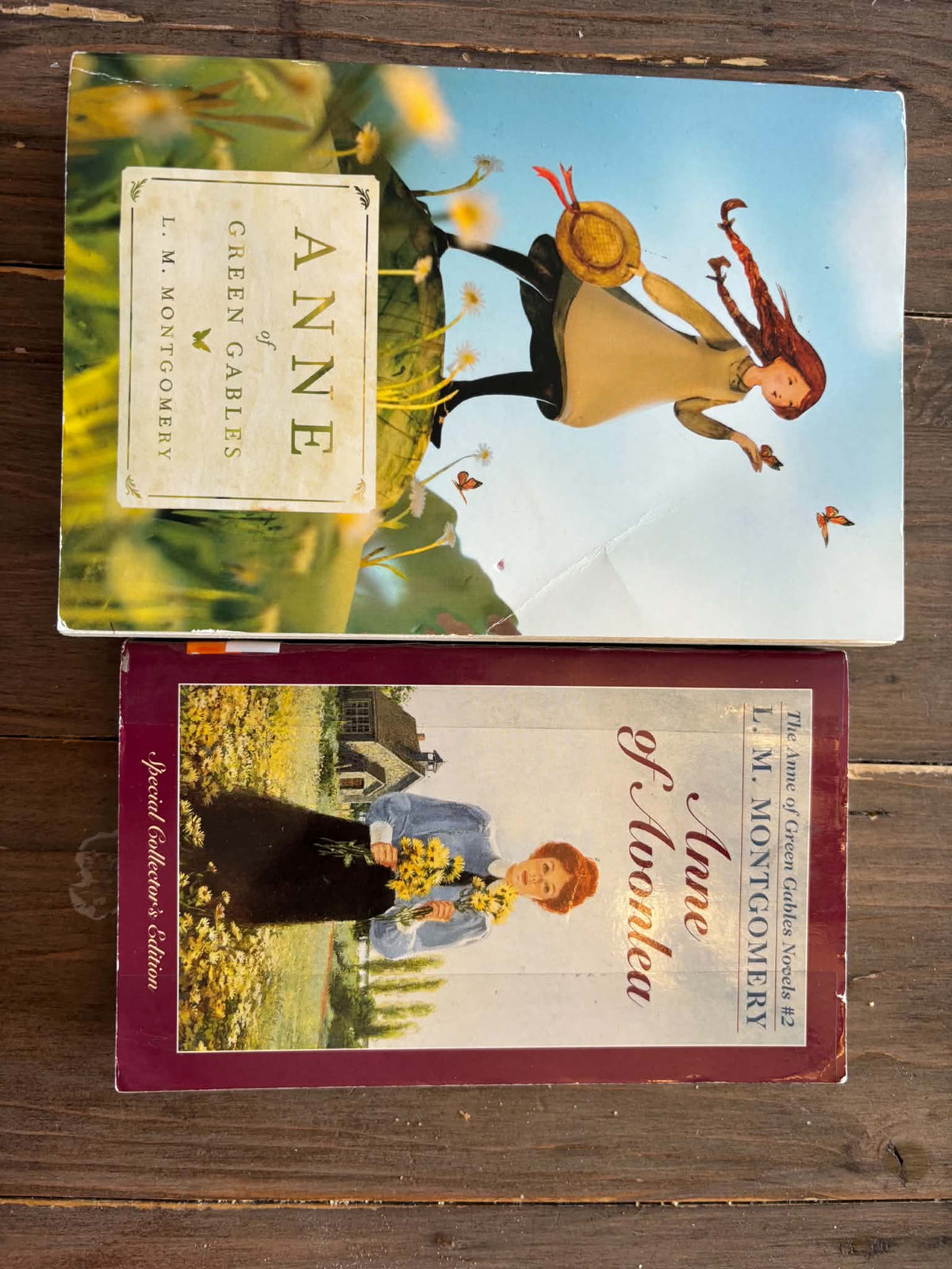 Anne of Green Gables books