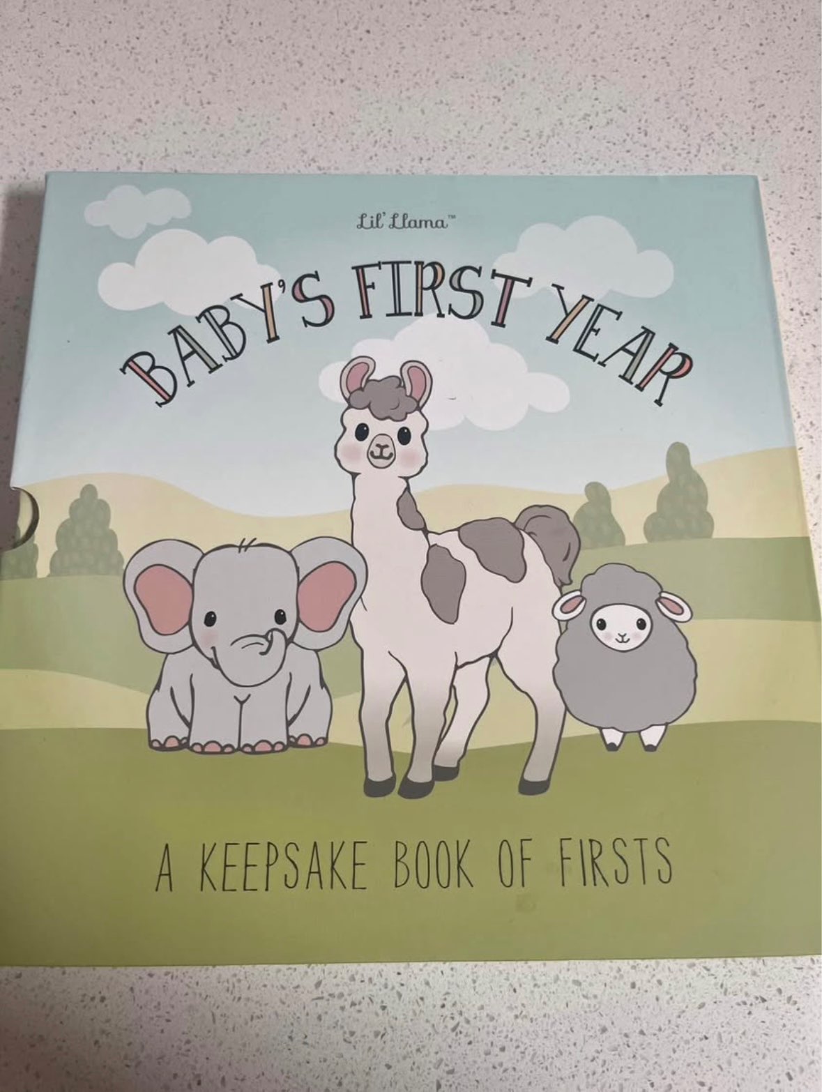 Milestone keepsake baby book