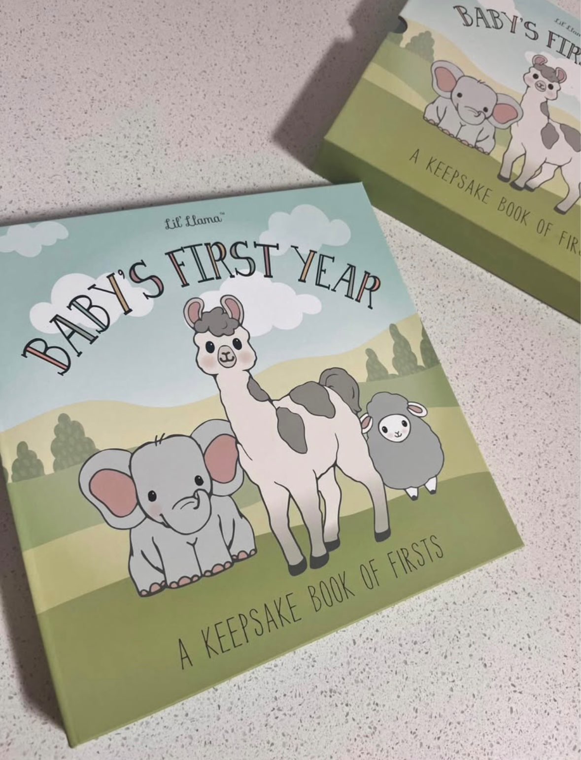Milestone keepsake baby book