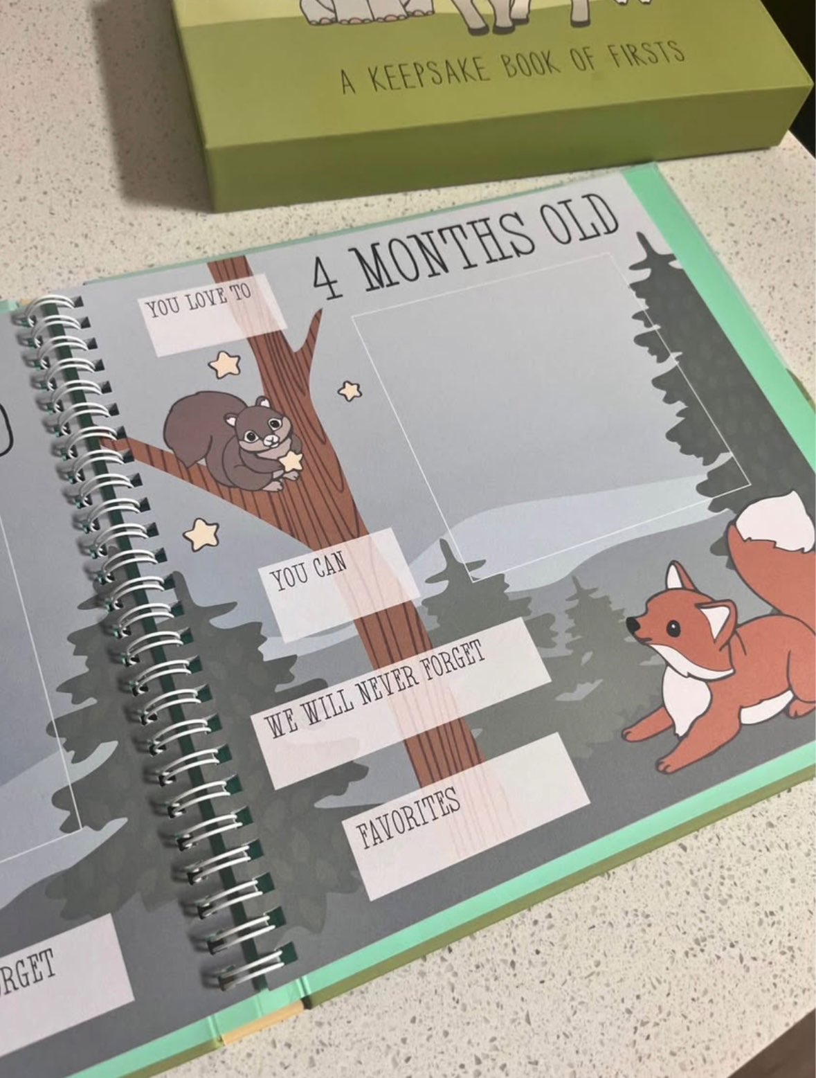 Milestone keepsake baby book