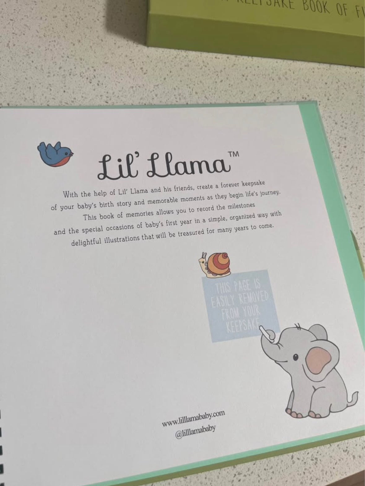 Milestone keepsake baby book