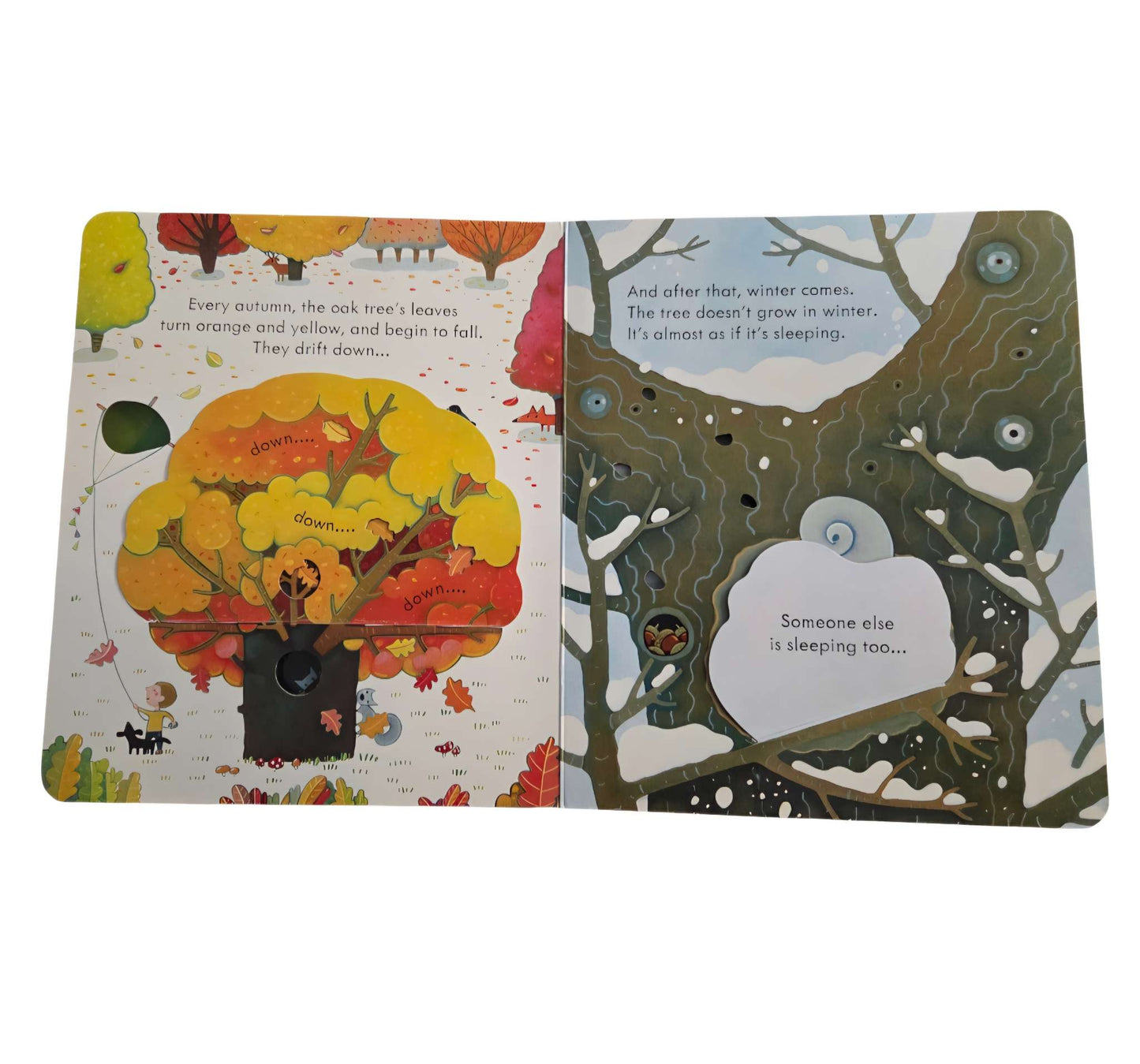 Usbourne Peep Inside a Tree hard cover book retails $12.95