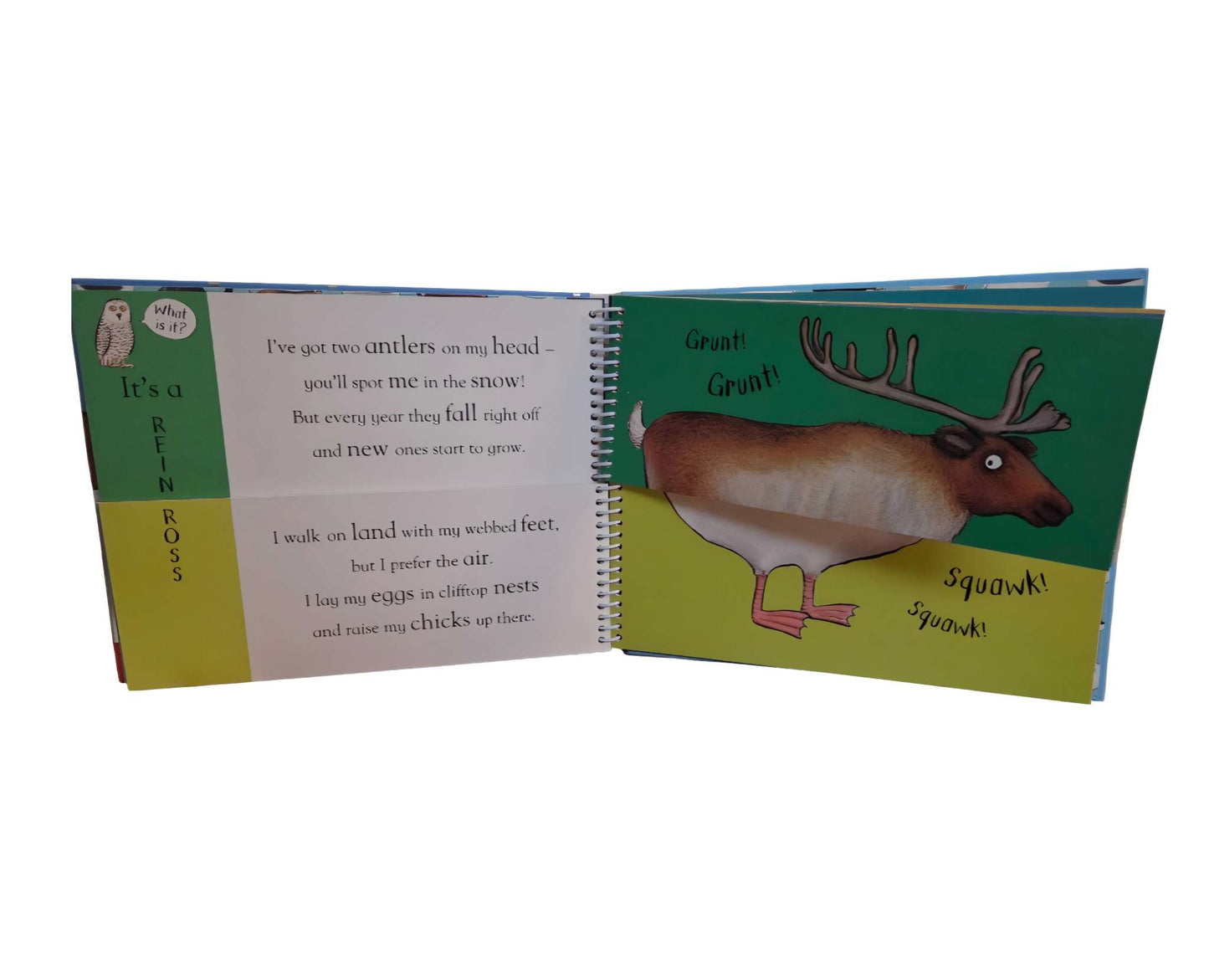 Alex Scheffler Flip Flap Frozen book hard cover