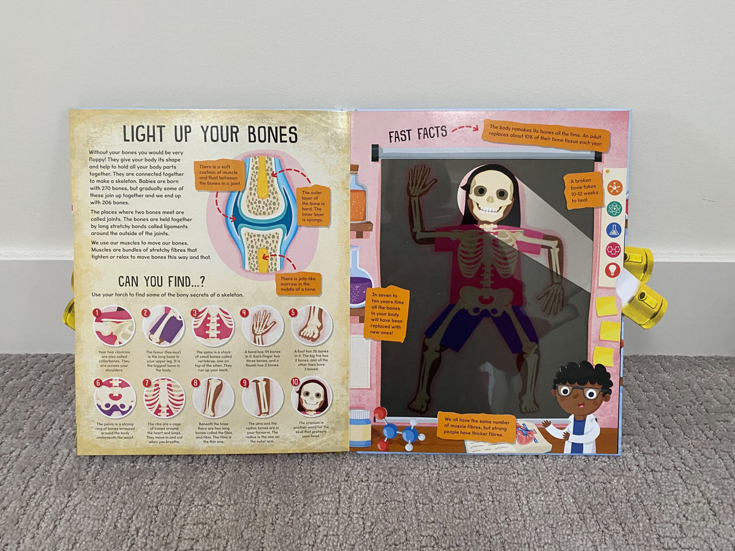 Human body book & Kiwi Crate